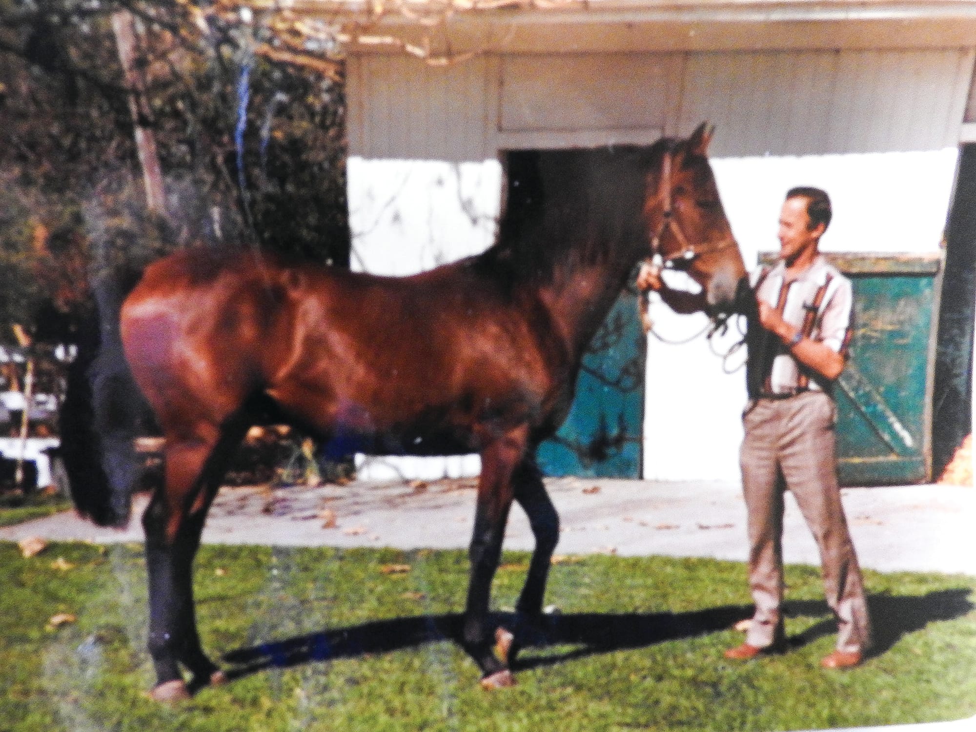 Racing honour for Cefn Price
