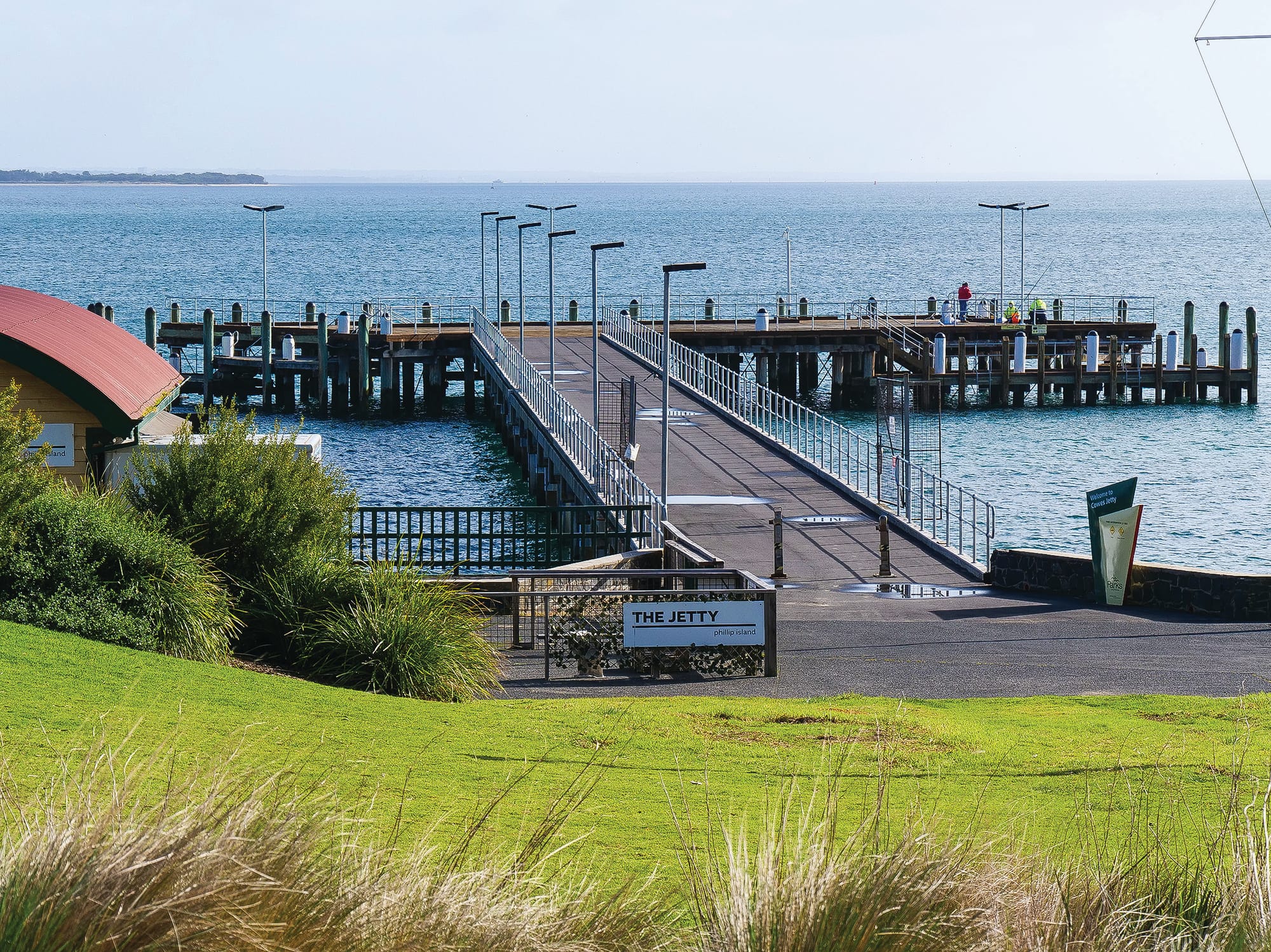 Isle of Wight owners respond to car ferry news