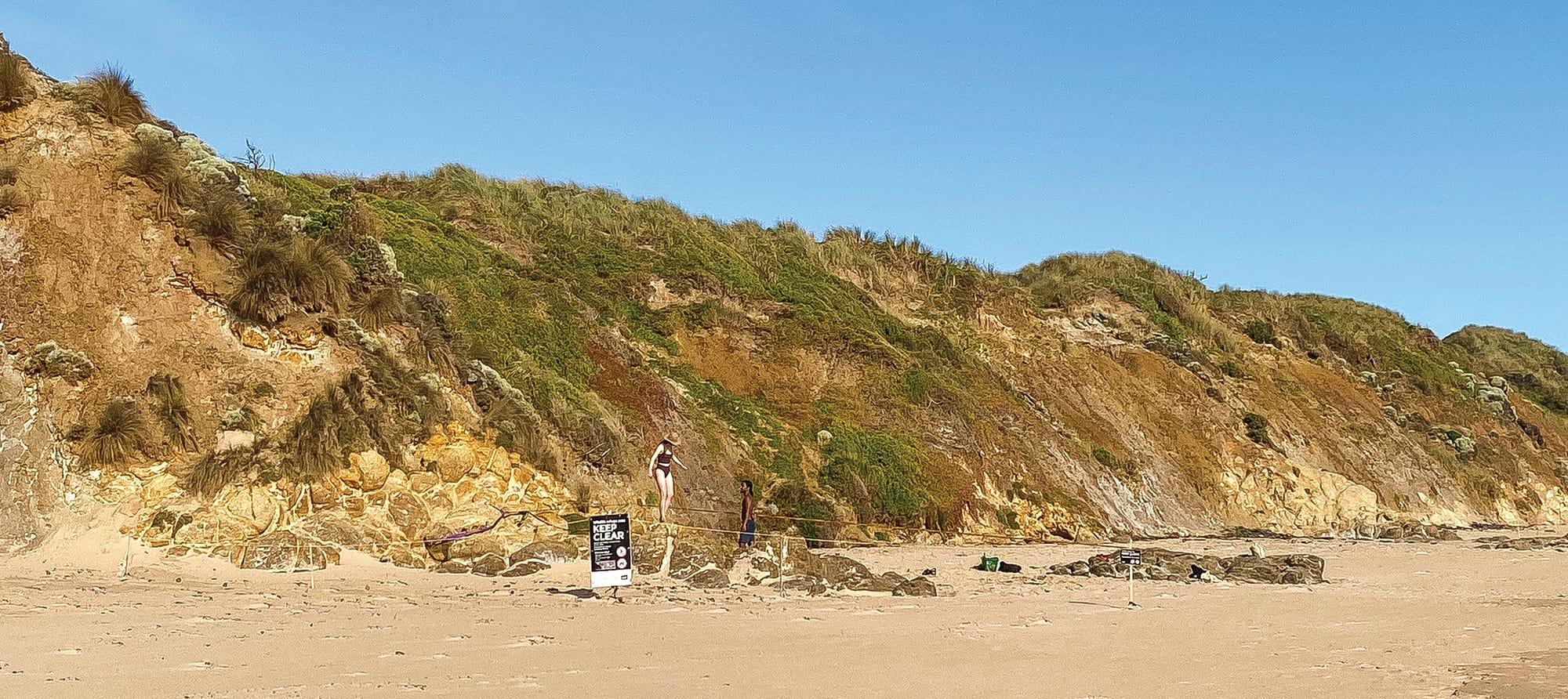 Hoodies survival on a tightrope