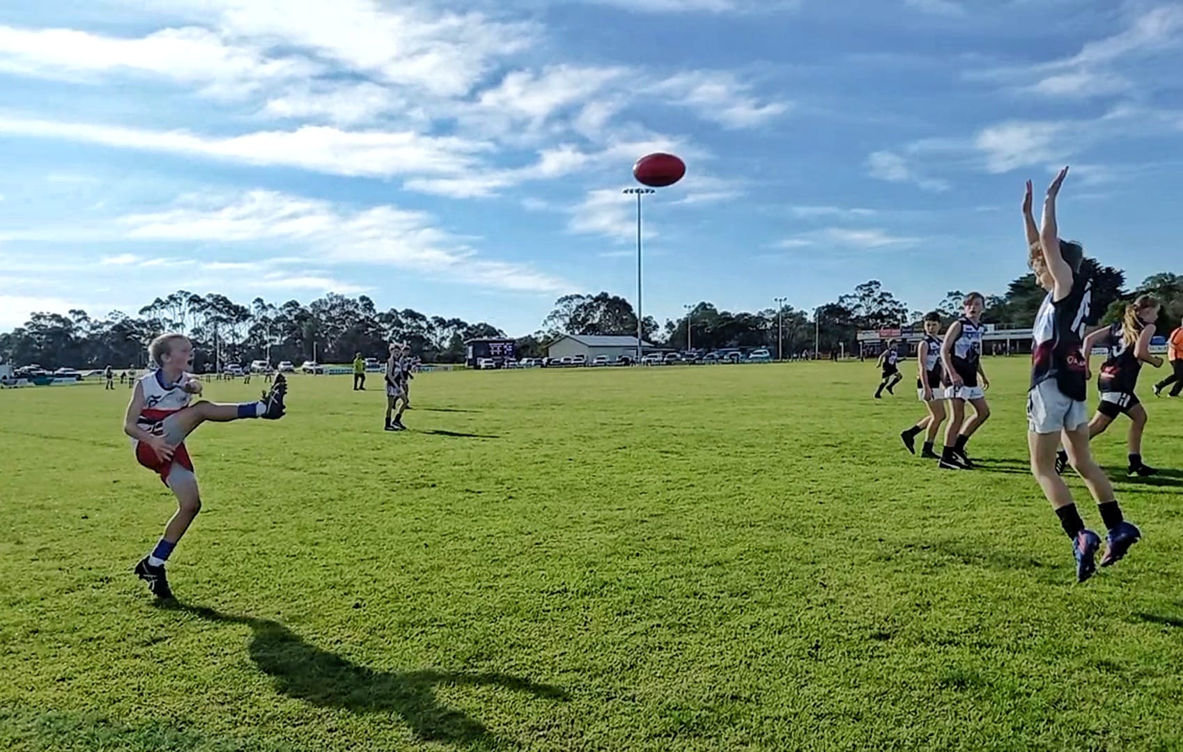 U12s Phillip Island Blue Pups