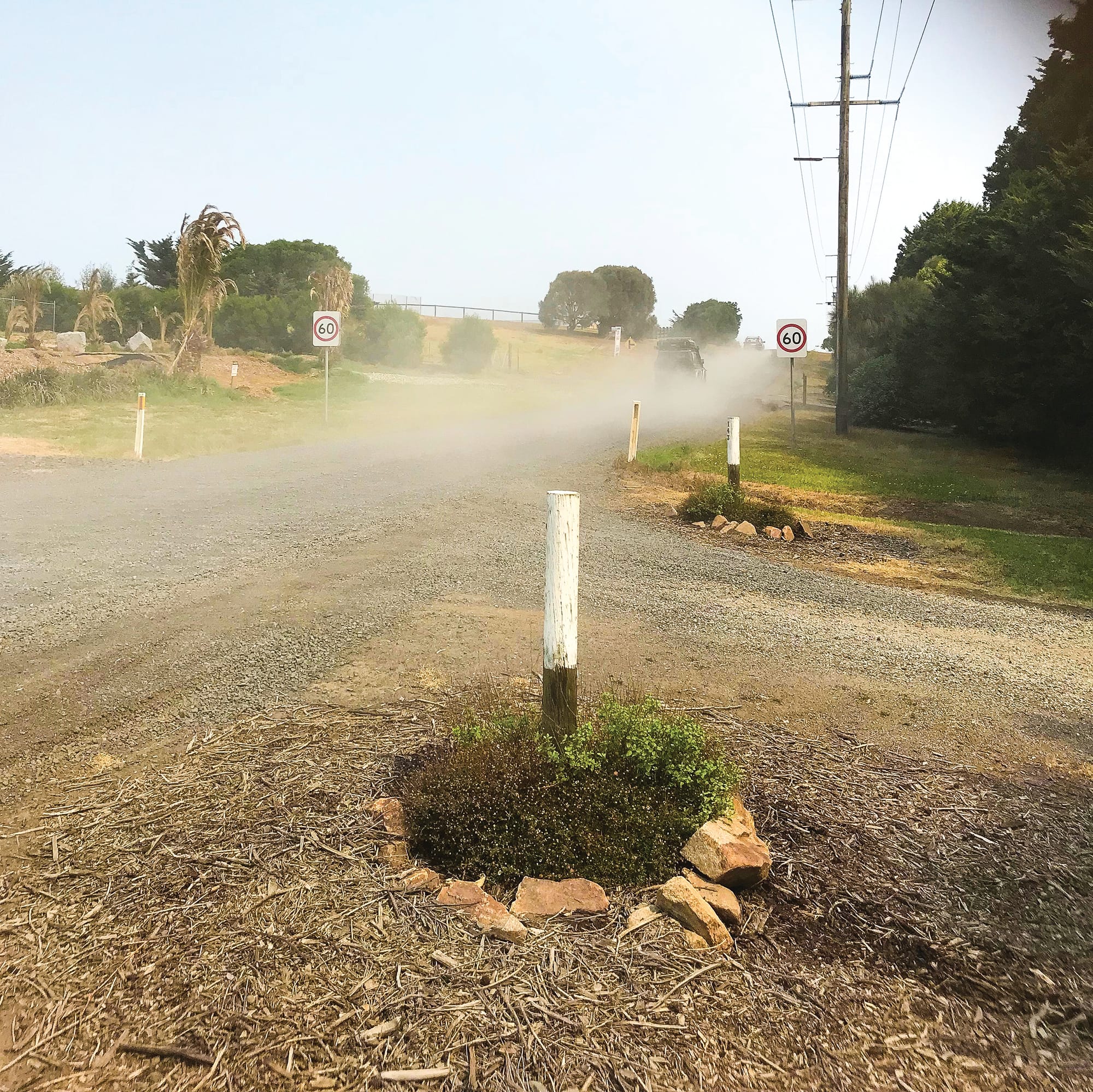 Student health at risk from road dust