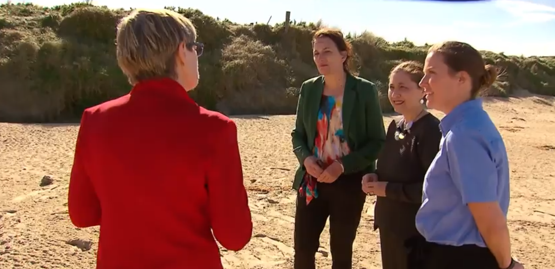 Dune restoration smooths the way for Phillip Island’s penguins