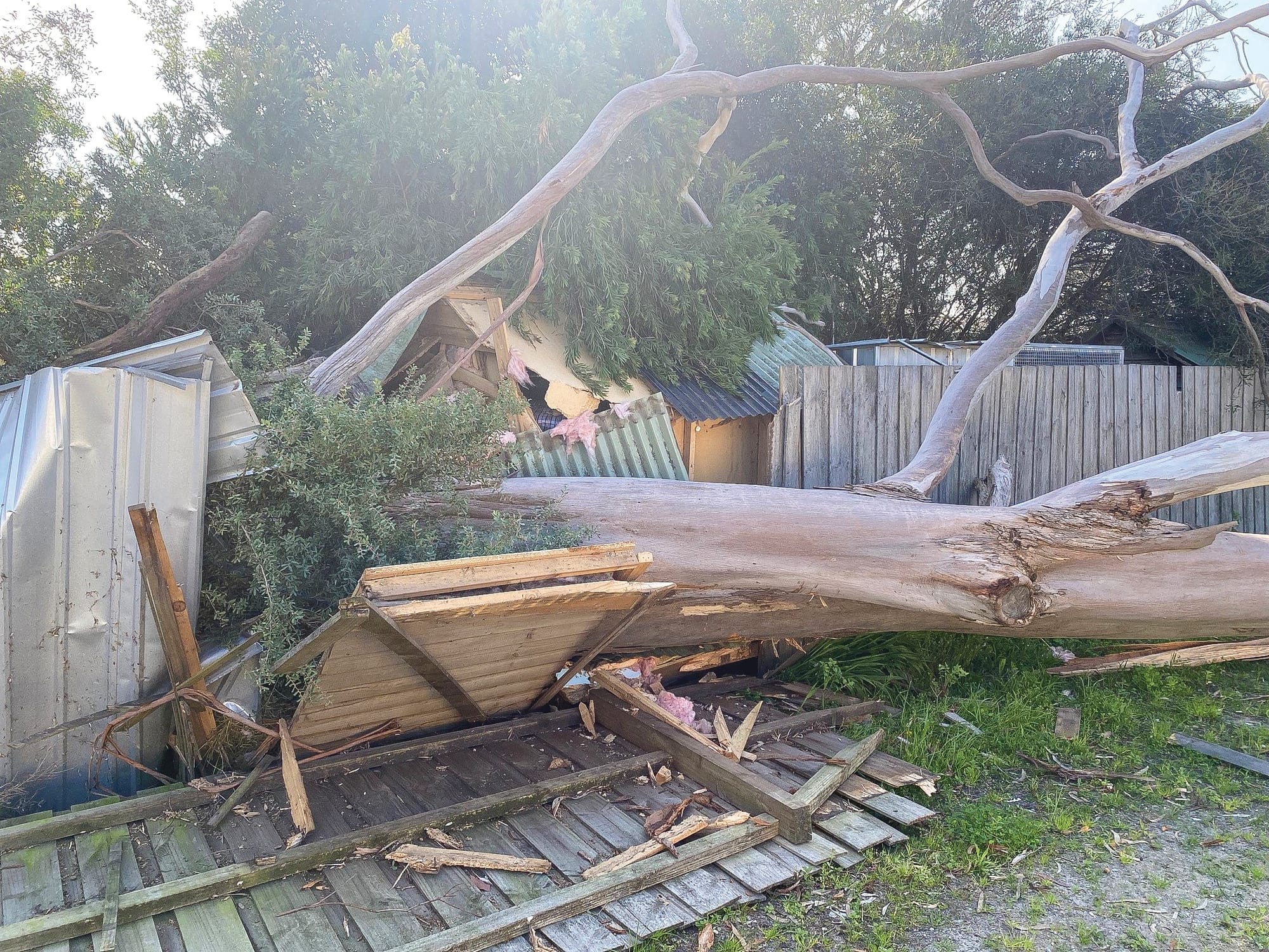 Wildlife shelter gutted in storms