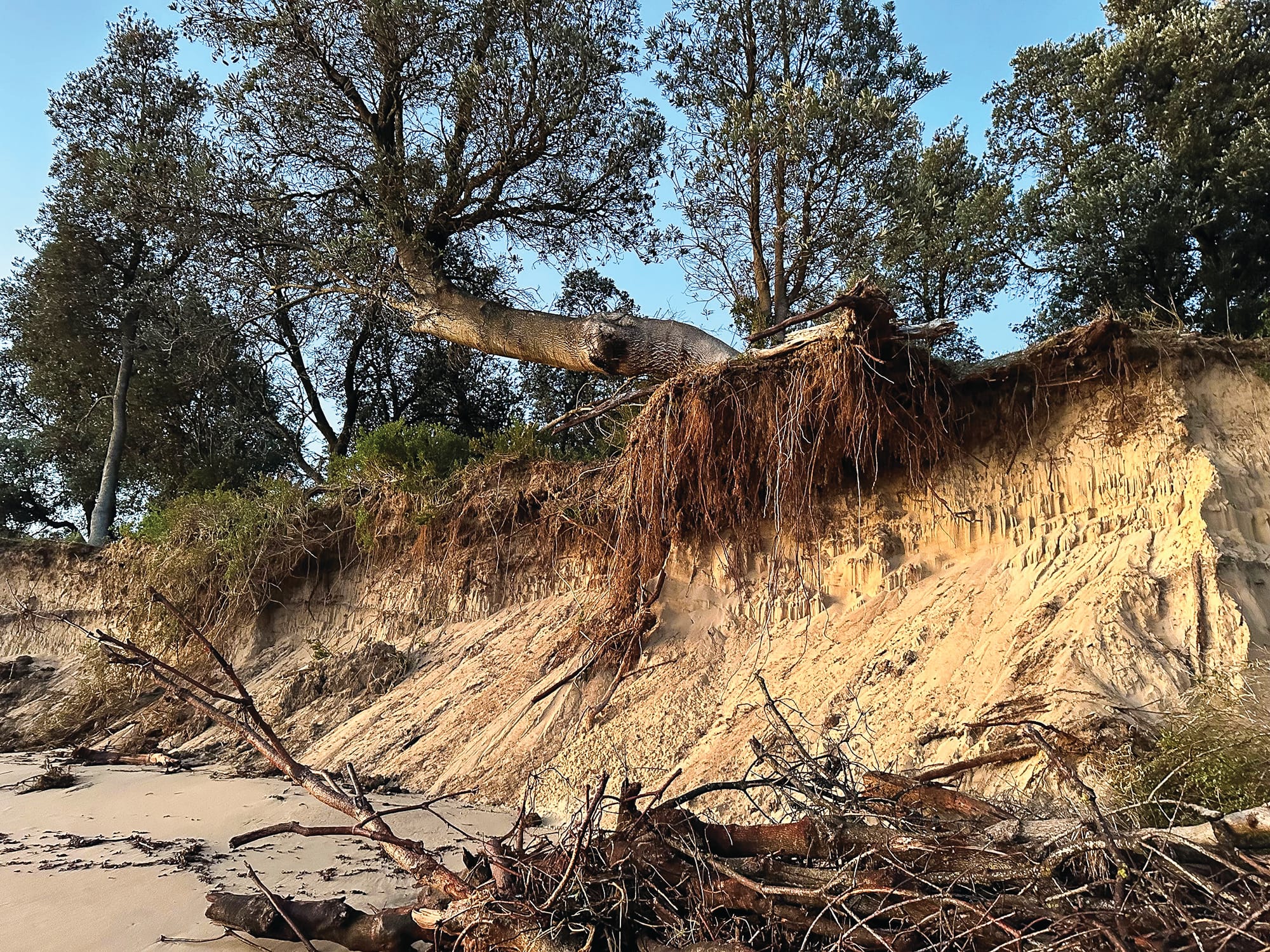 Residents eagerly await erosion answers