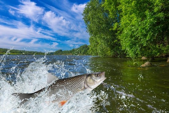 Around the Bay with Jim’s Bait and Tackle