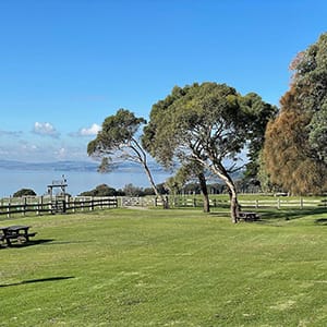 Churchill Island Walk