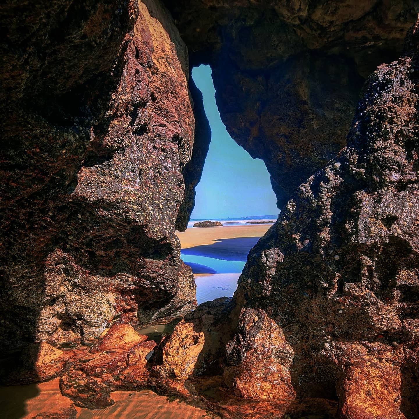 Reader submissions album #4