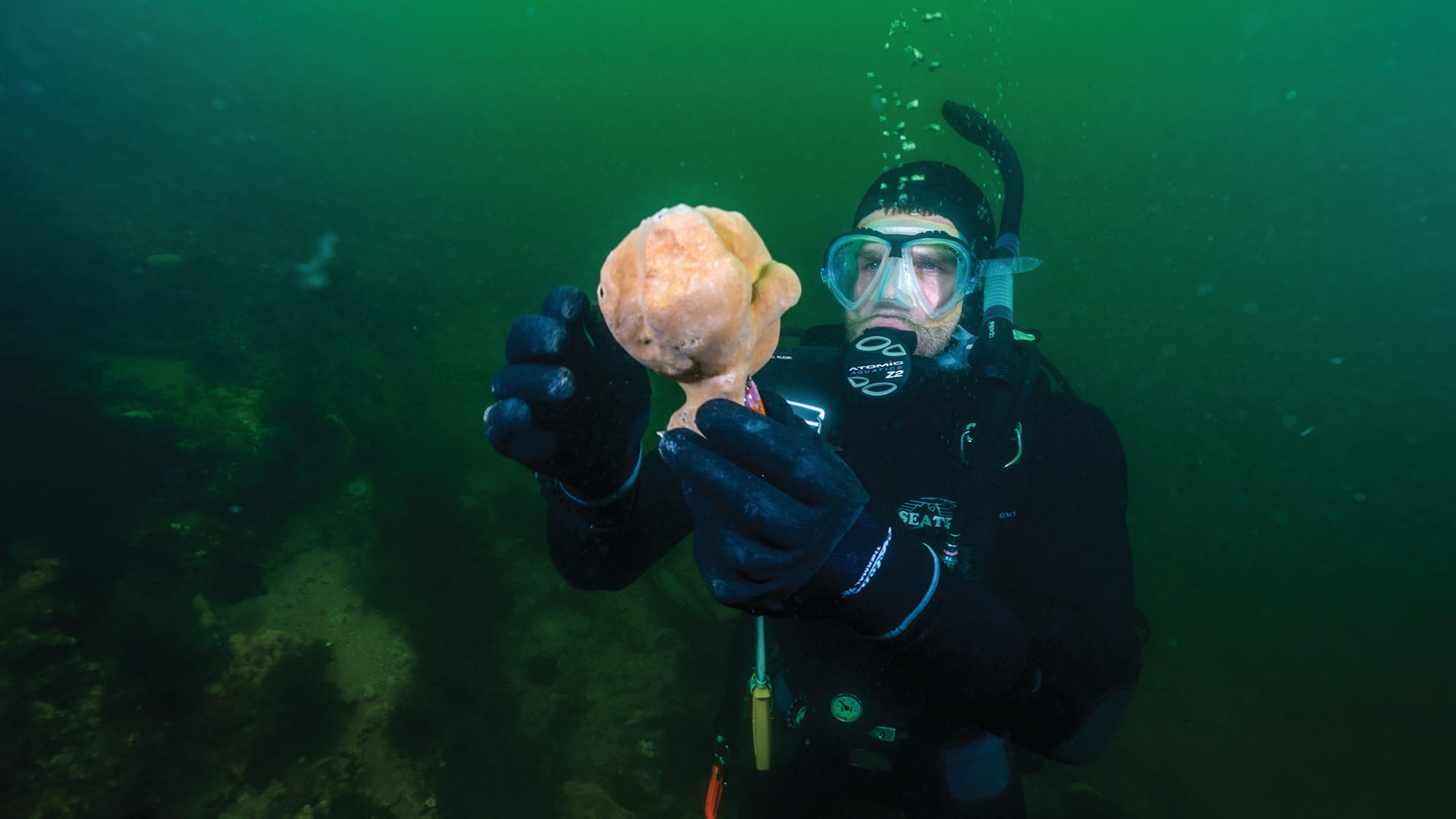 World-first in underwater science at Newhaven