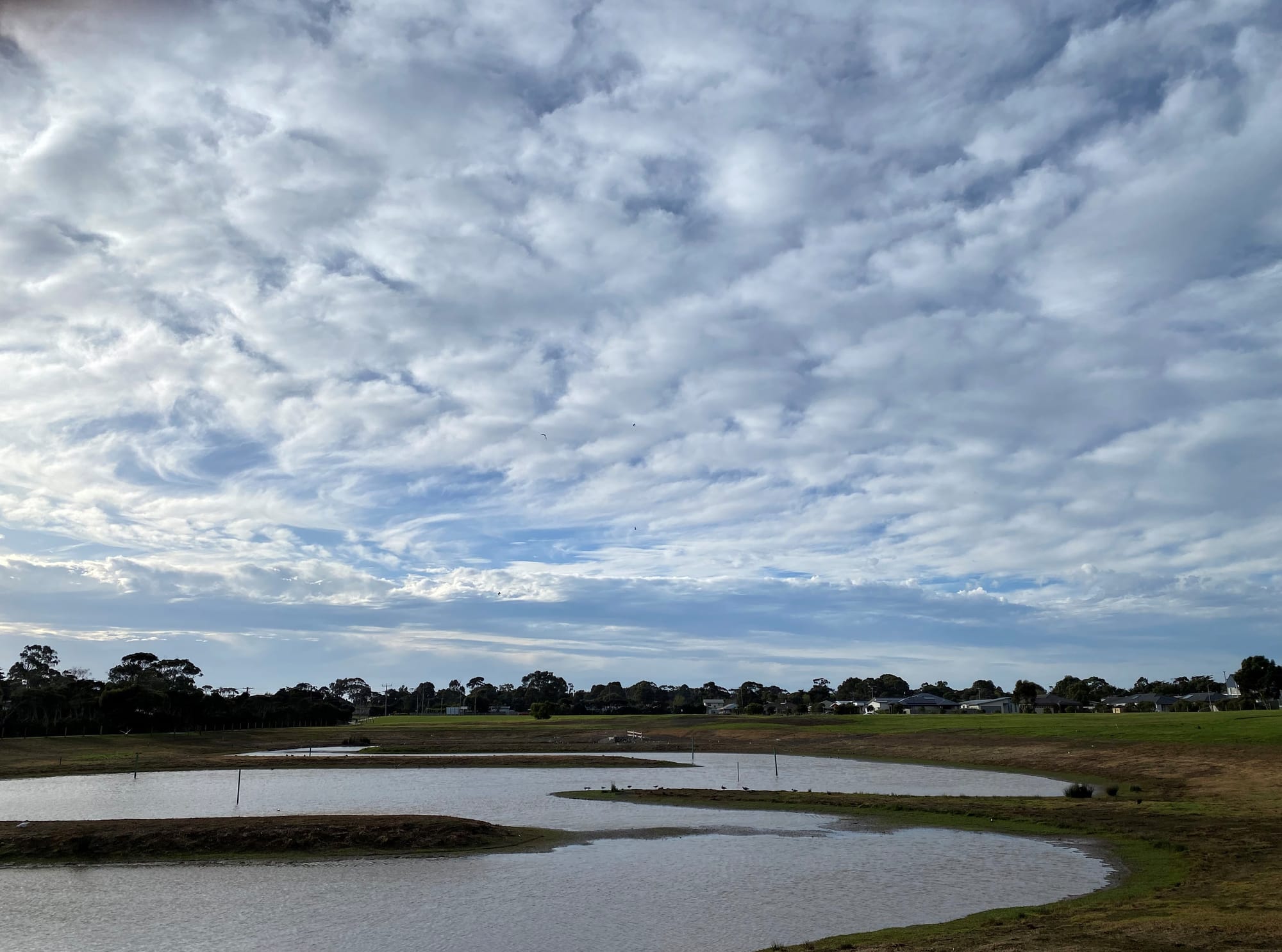 Finally … signs of progress on the Shoalhaven wetlands