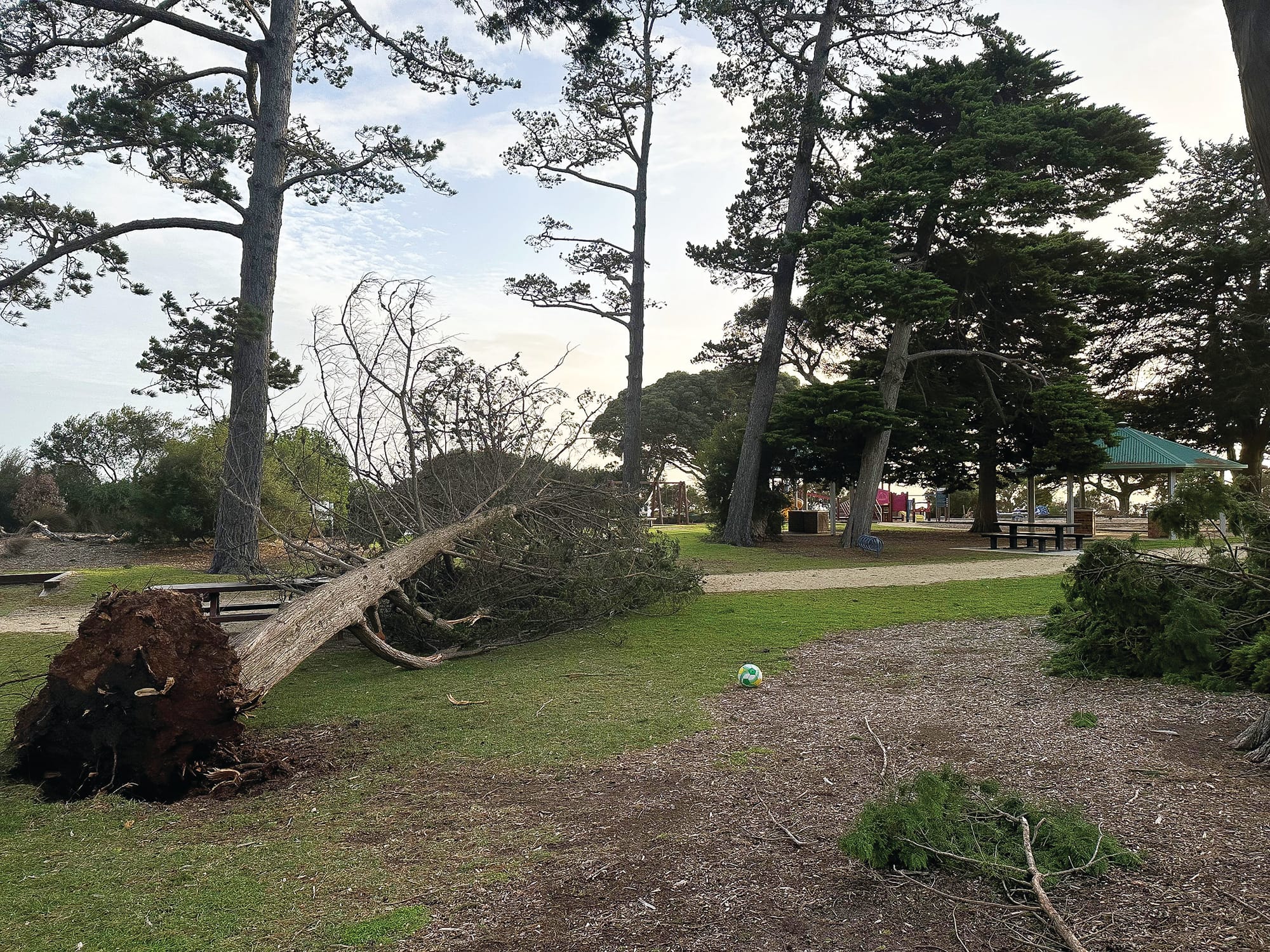 Weathering the storm