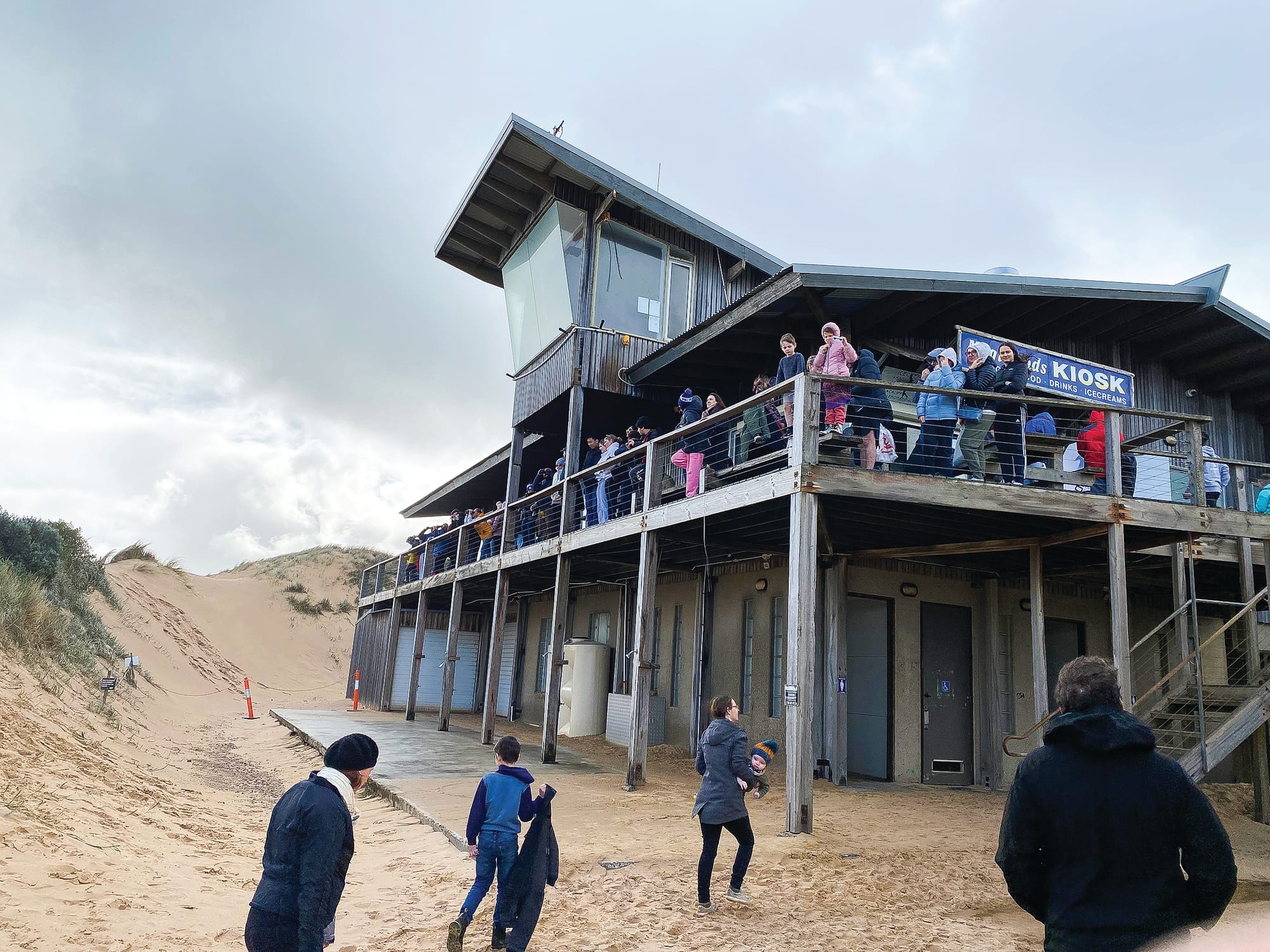 Whales rule! Festival thrives despite inclement weather