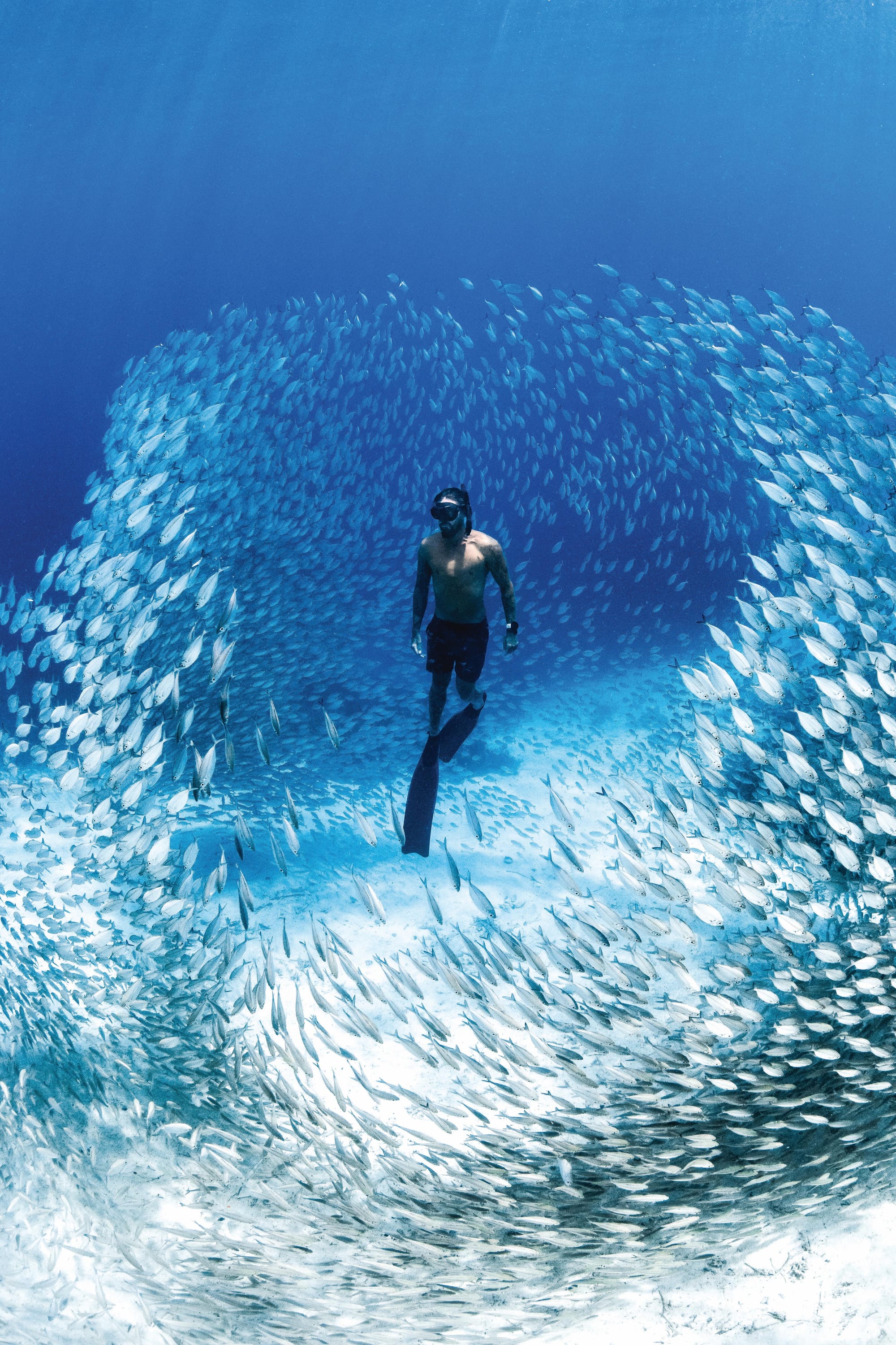 Immerse yourself in the Ocean Film Festival