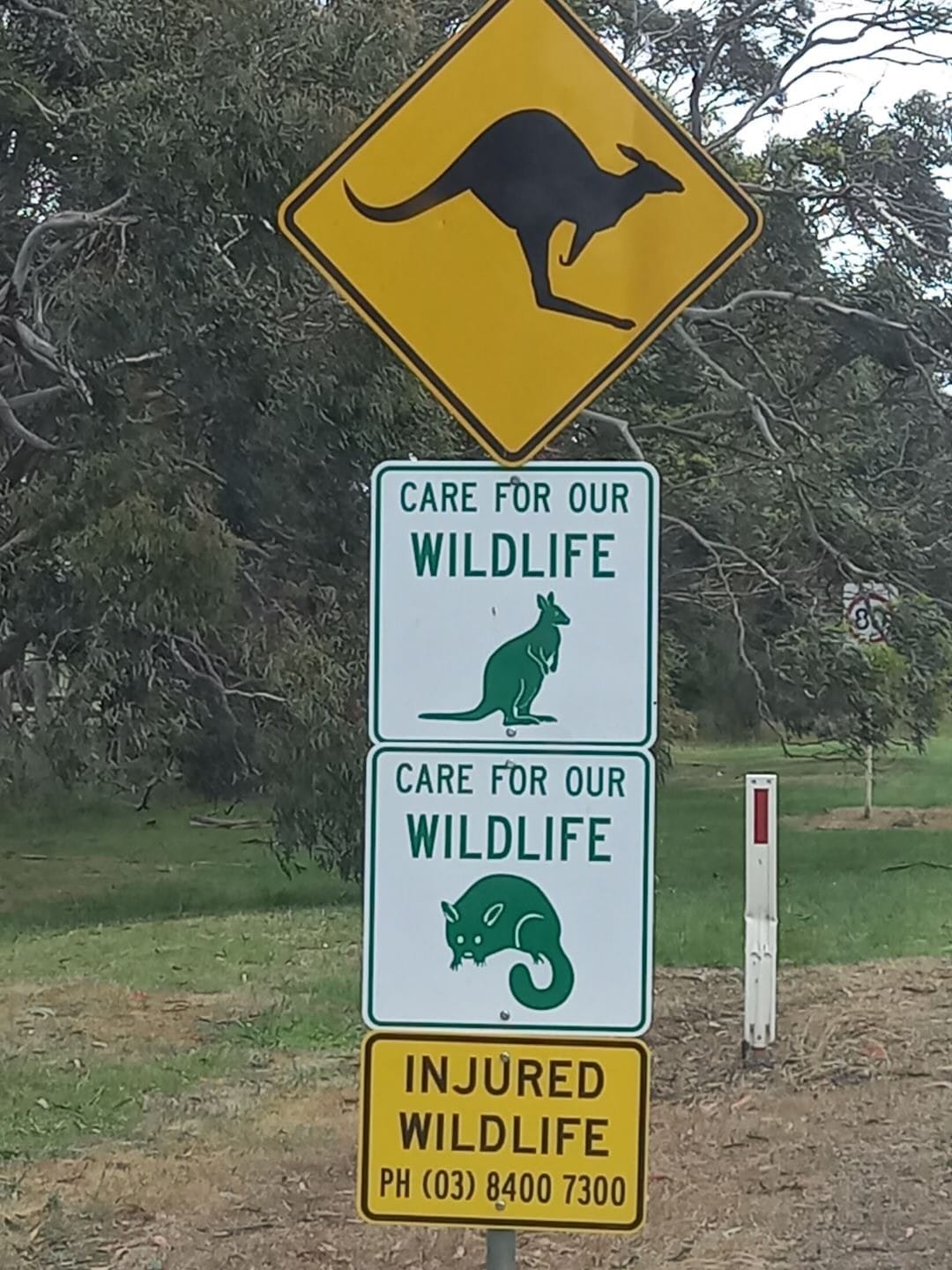 New volunteers, vets to help tackle roadkill toll