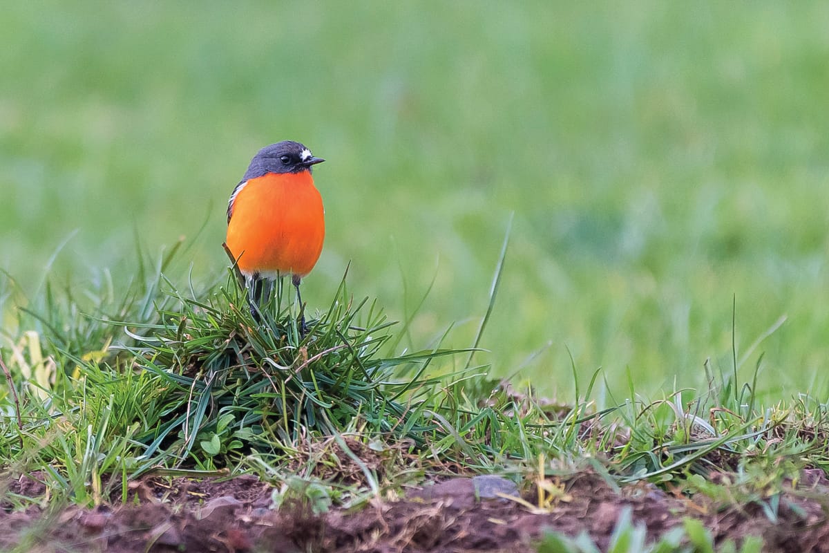 Winter at the Nature Parks