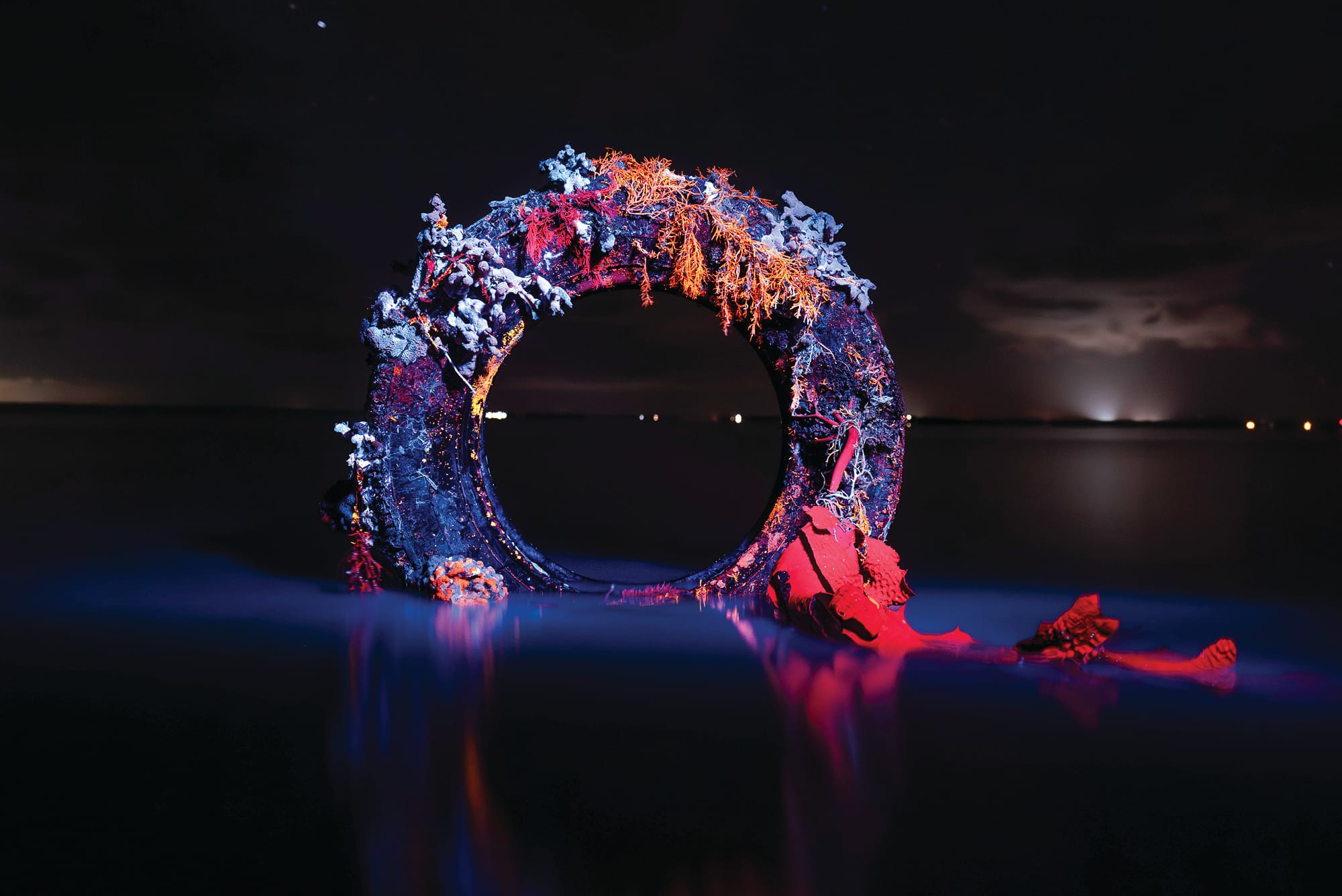 Happy birthday Berninneit