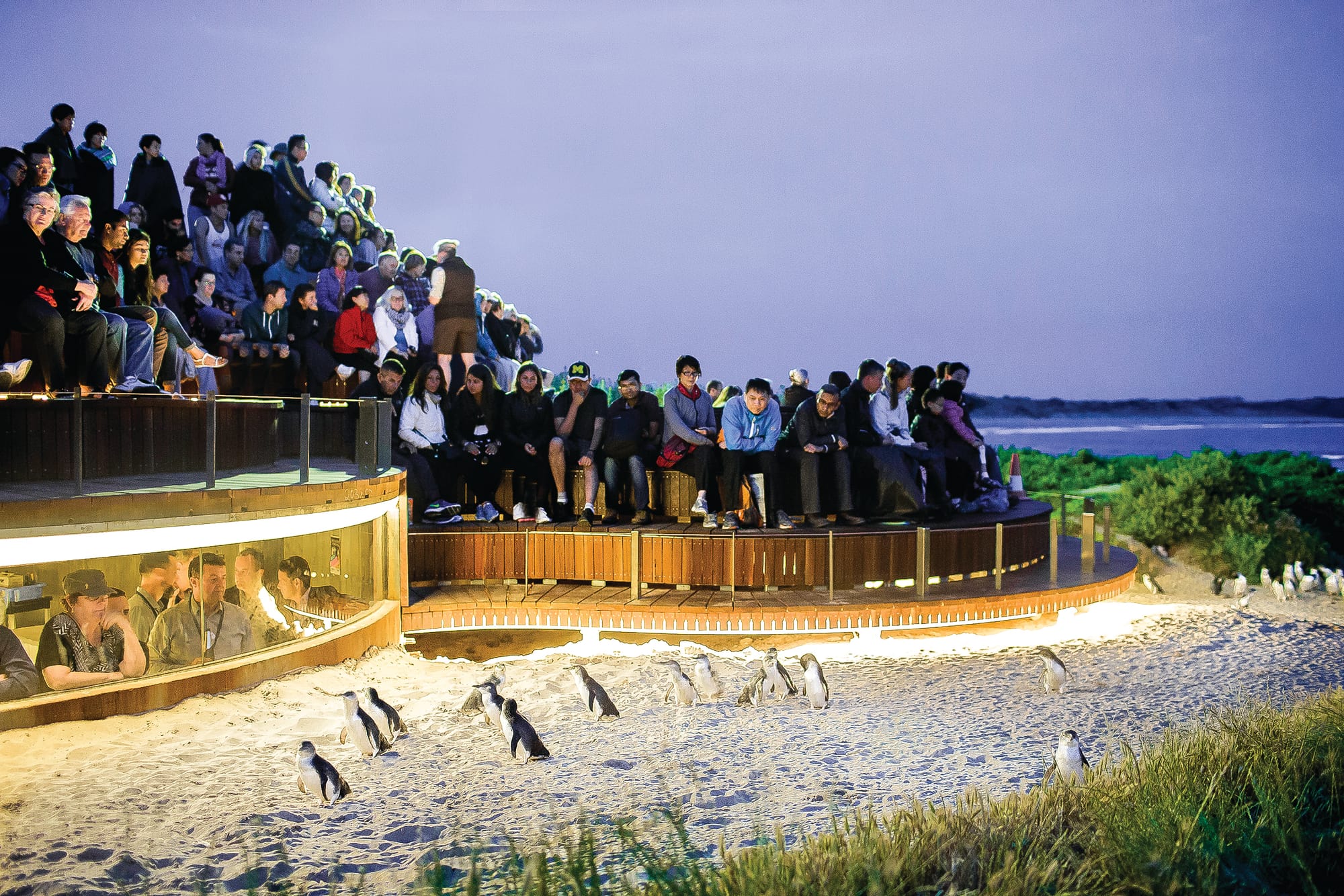 International tourists set to return to Nature Parks