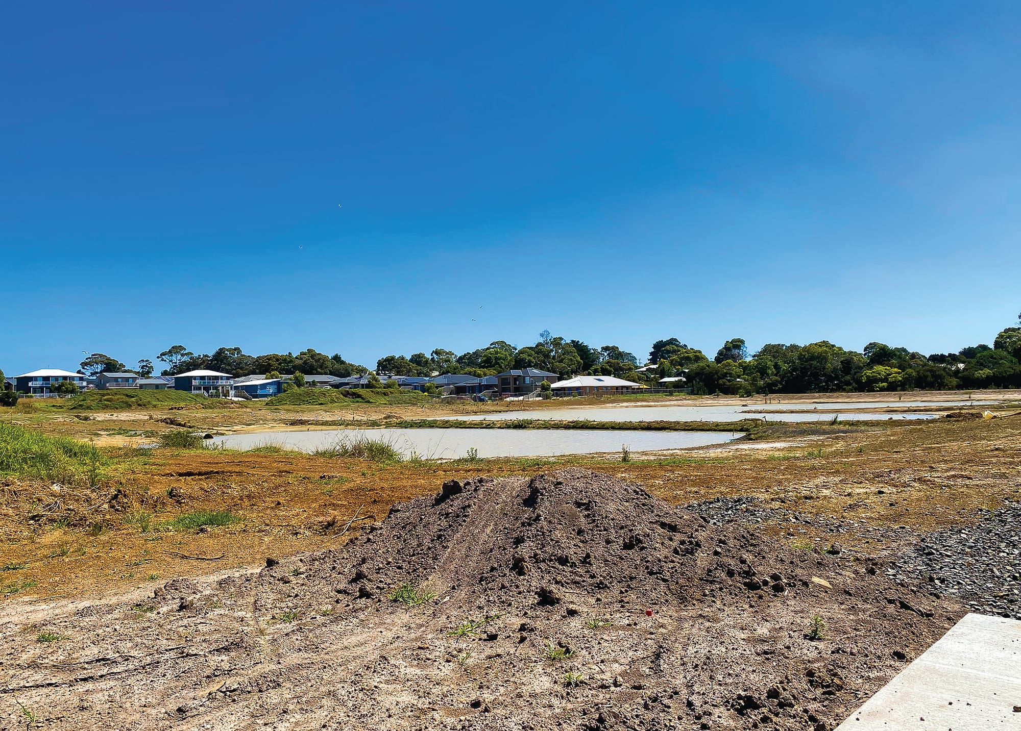 Painfully slow progress at Shoalhaven wetland