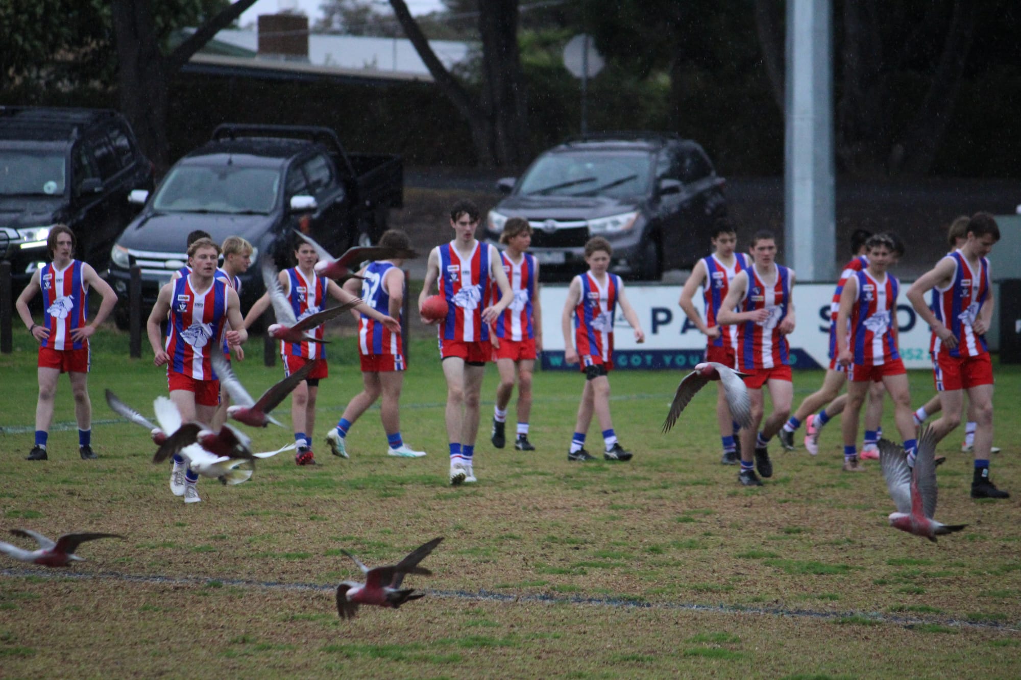 Strong results from Island U16s