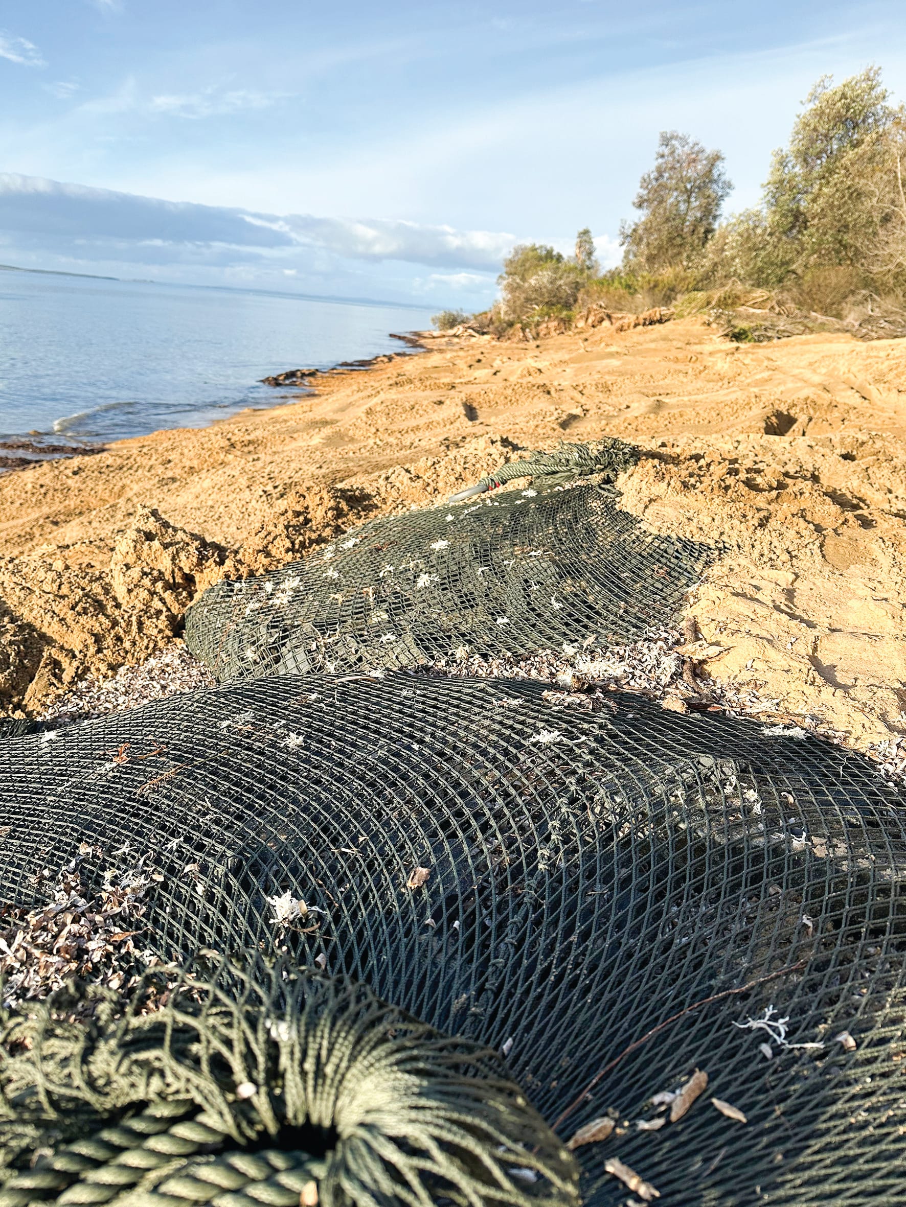 No more rock bags at Silverleaves