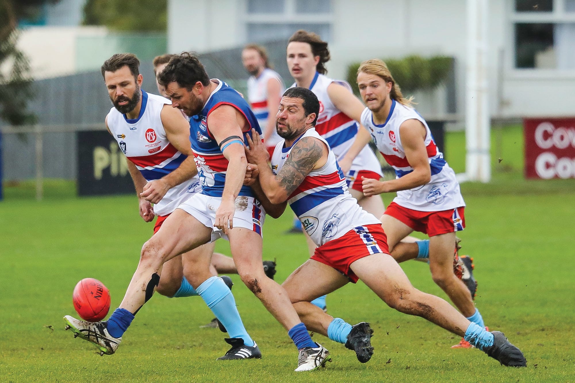 Island Boys prevail in Battle of the Dogs - Reserves