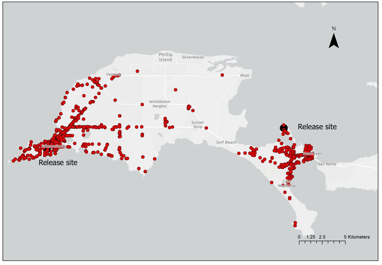 Cat disease killing bandicoots
