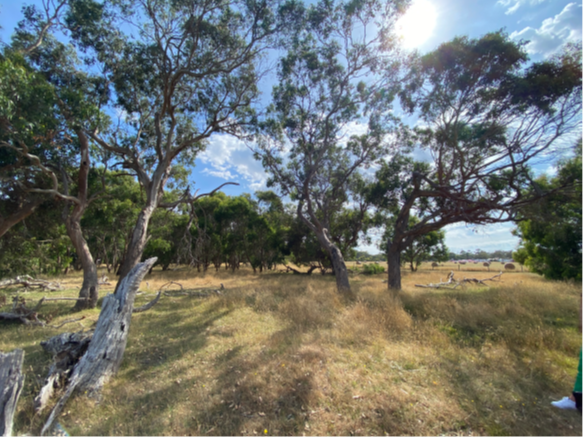 Recreation reserve timeline queried