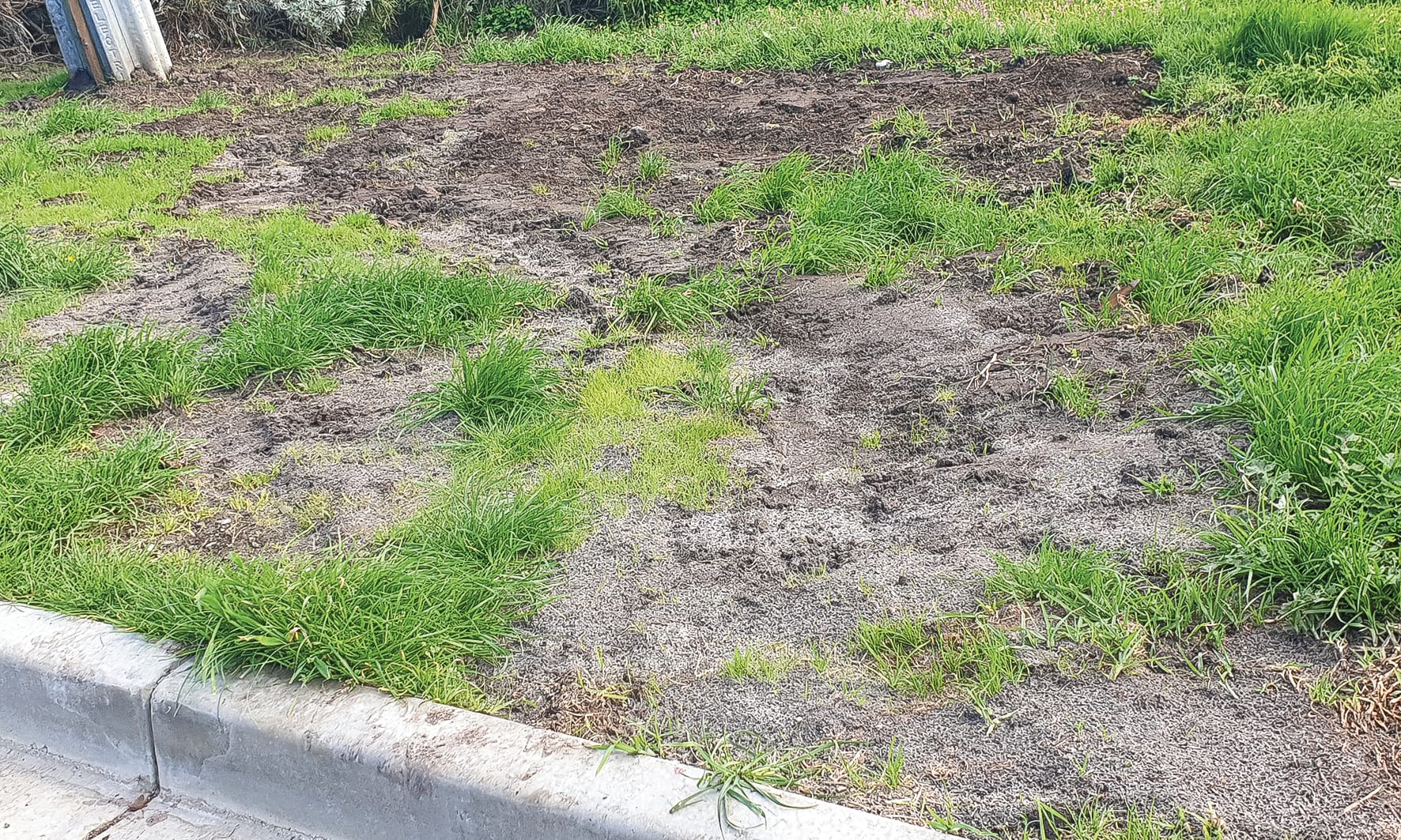 Bonwick battles continue