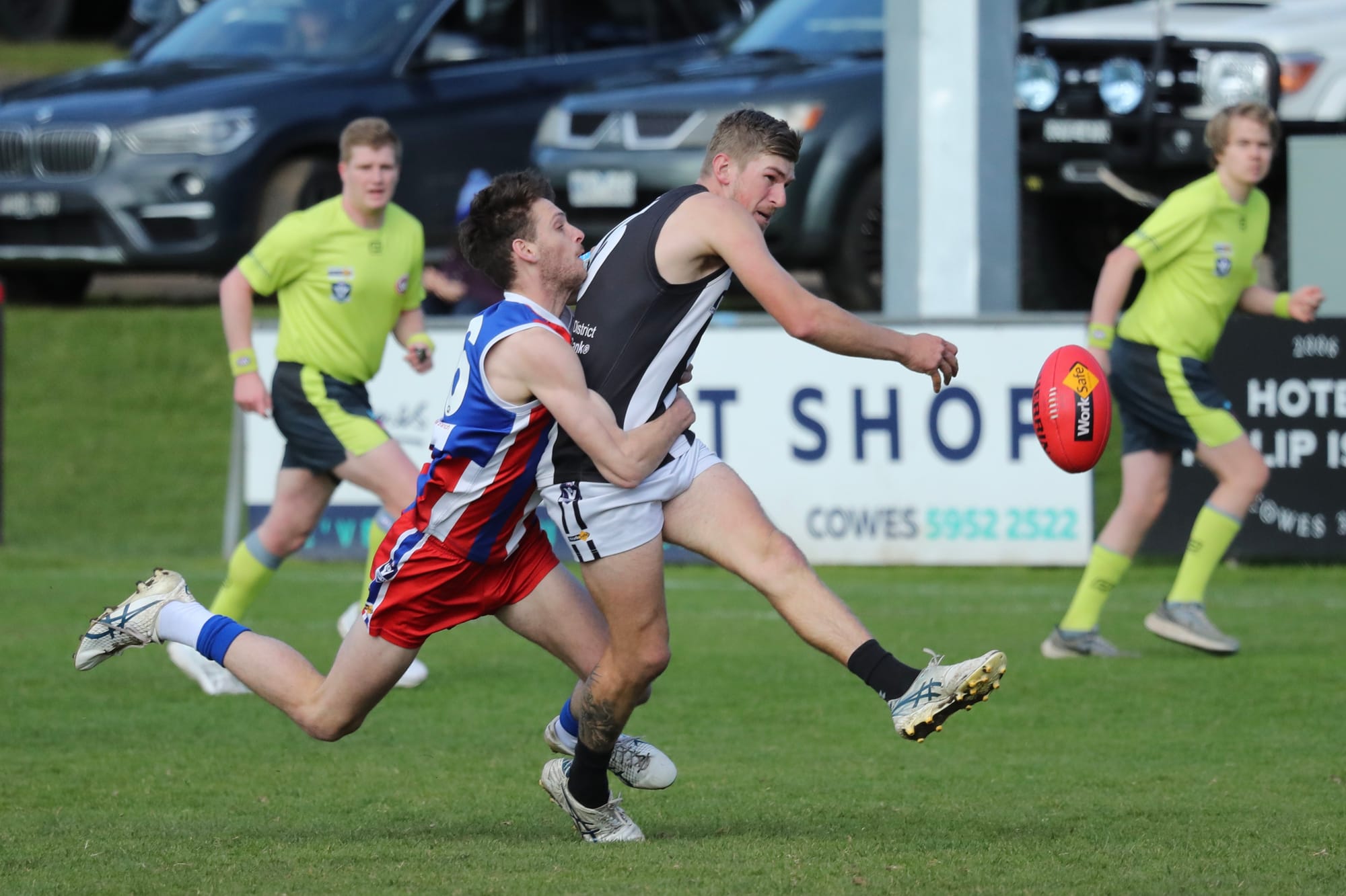 Feathers fly as Bulldogs outclass Magpies - Seniors