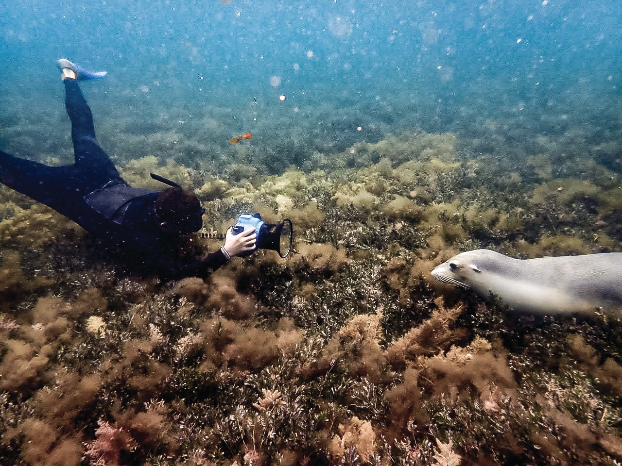 A deep dive into nature