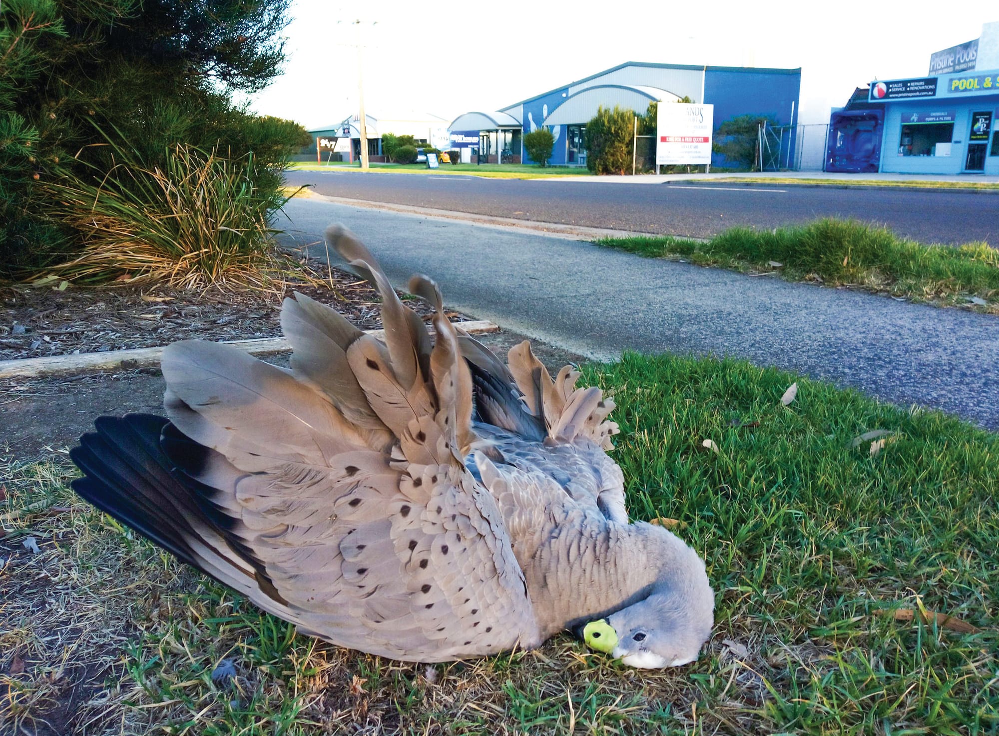 What election issues will get votes?