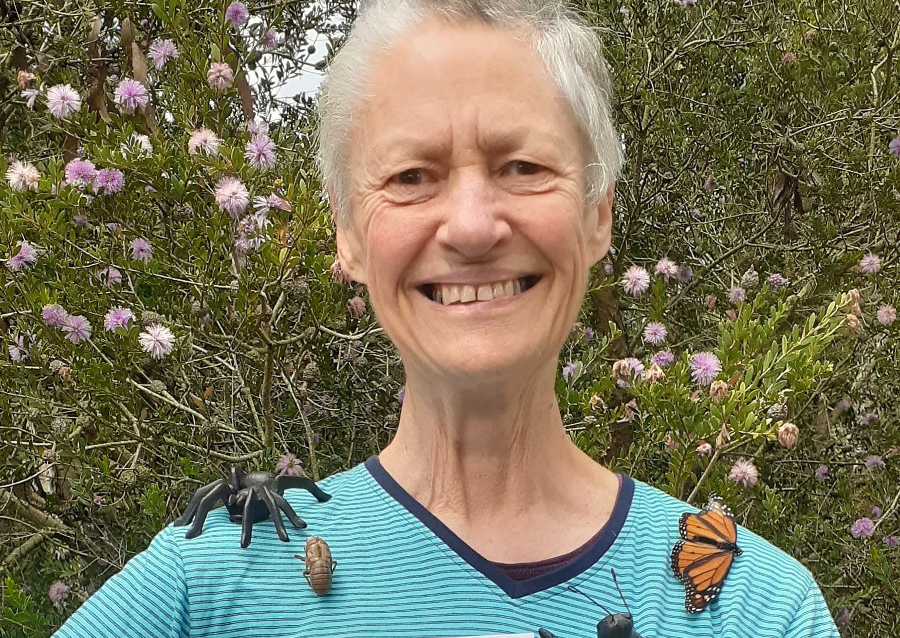 New Minibeast book for children