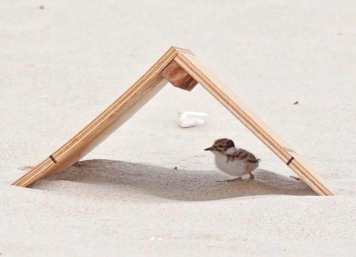 Tiny Houses for Hoodies