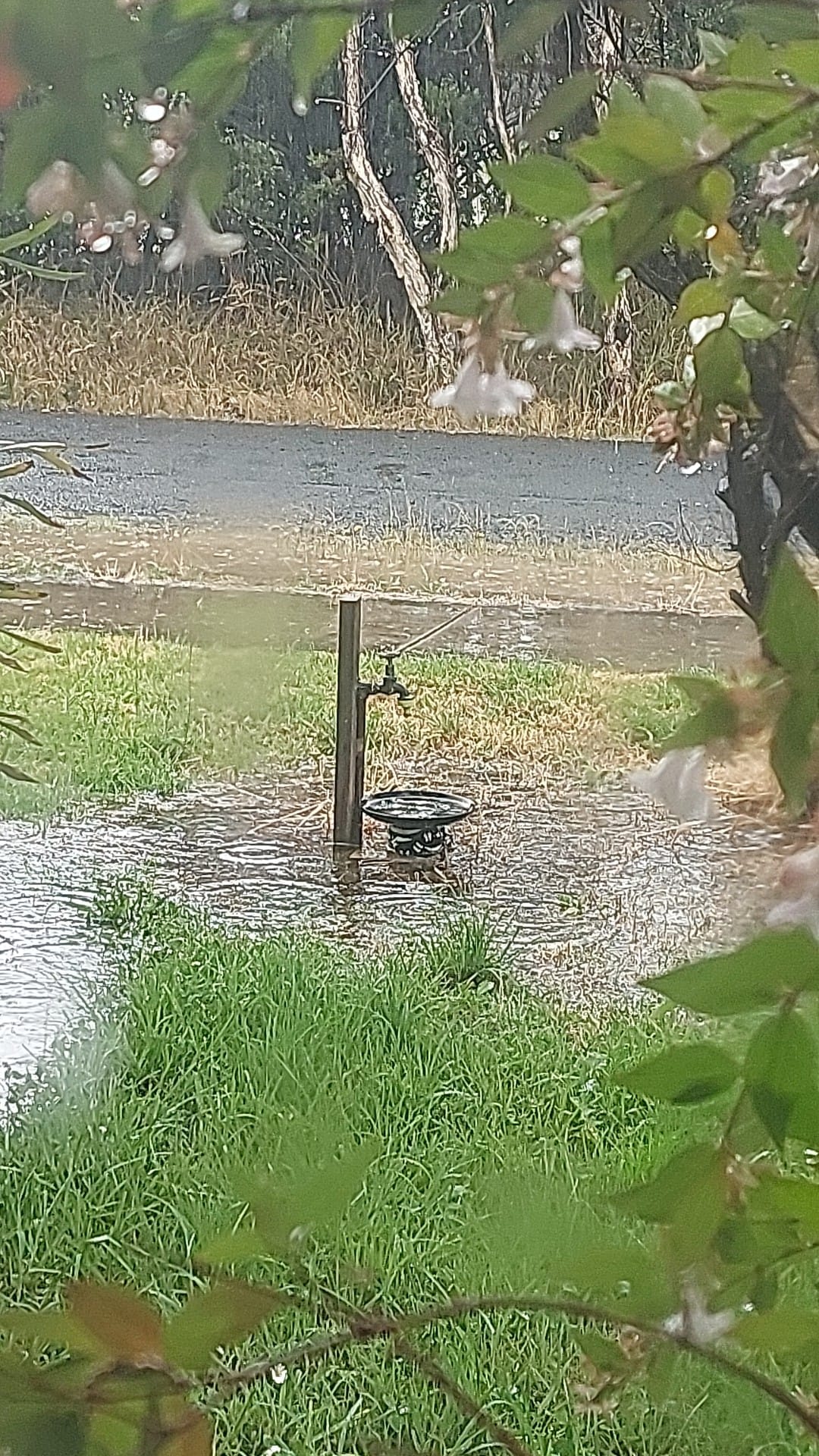 Welcome rains drench island