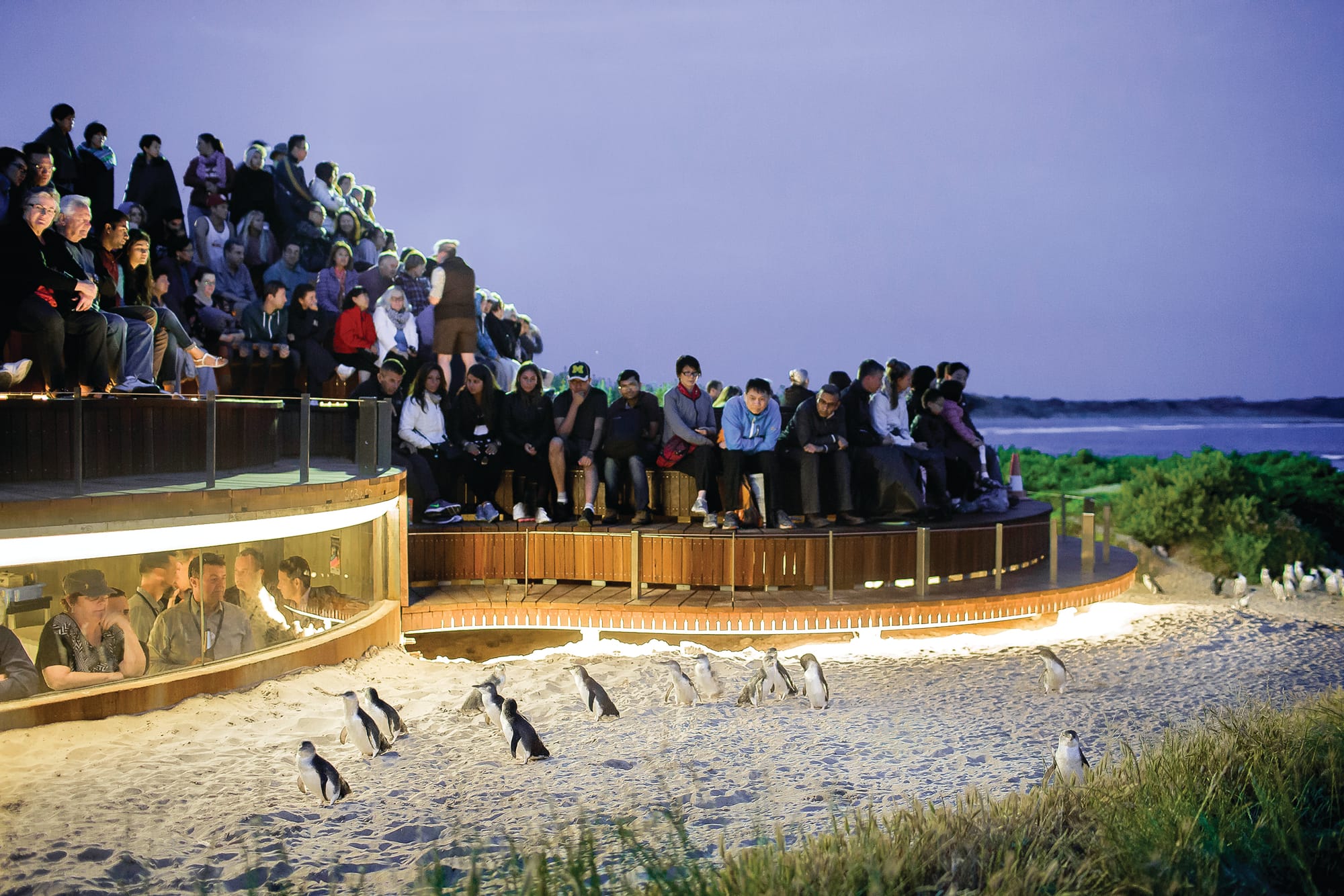 New date for Open Day