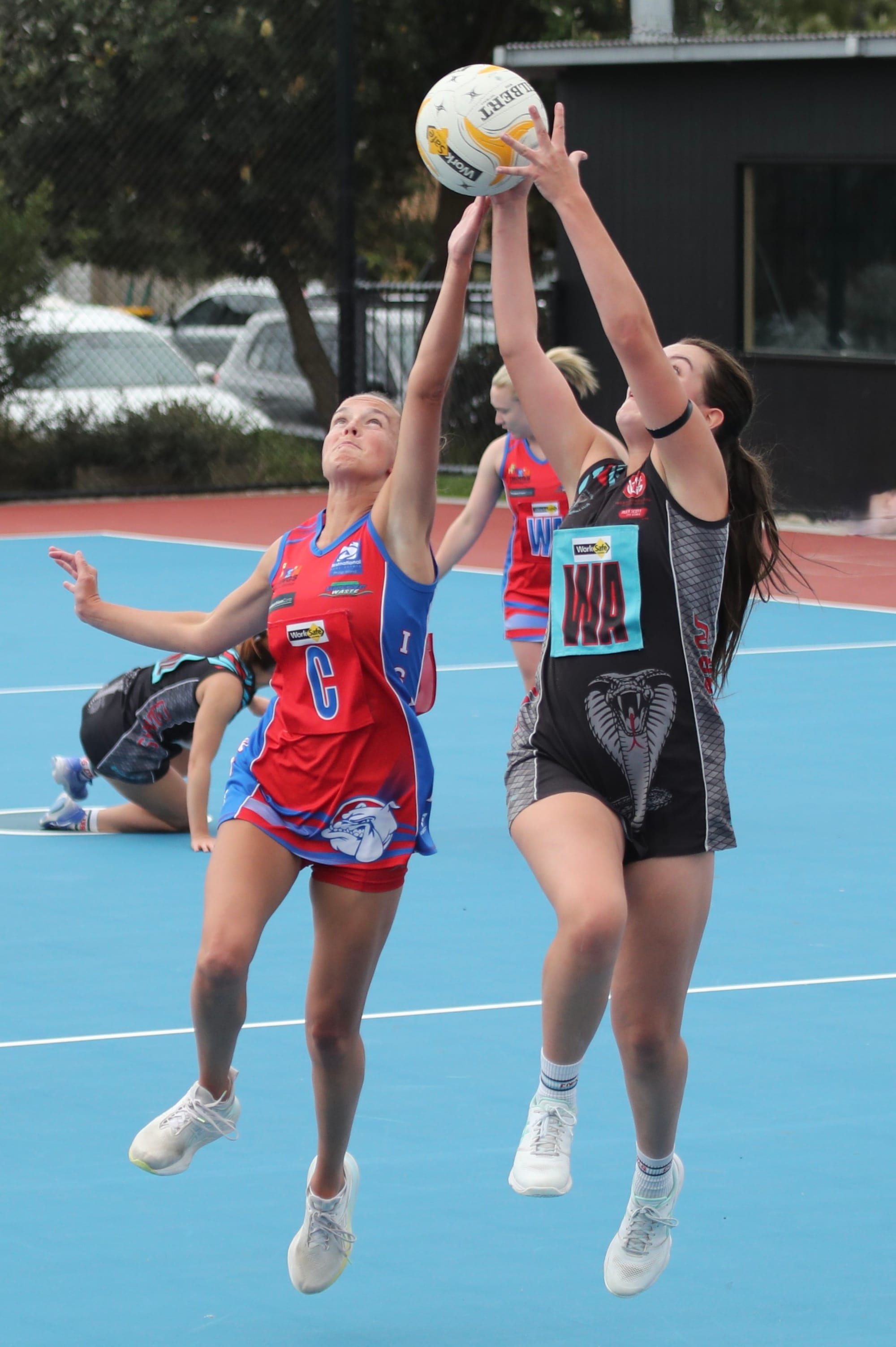 B Grade defeat Cora Lynn