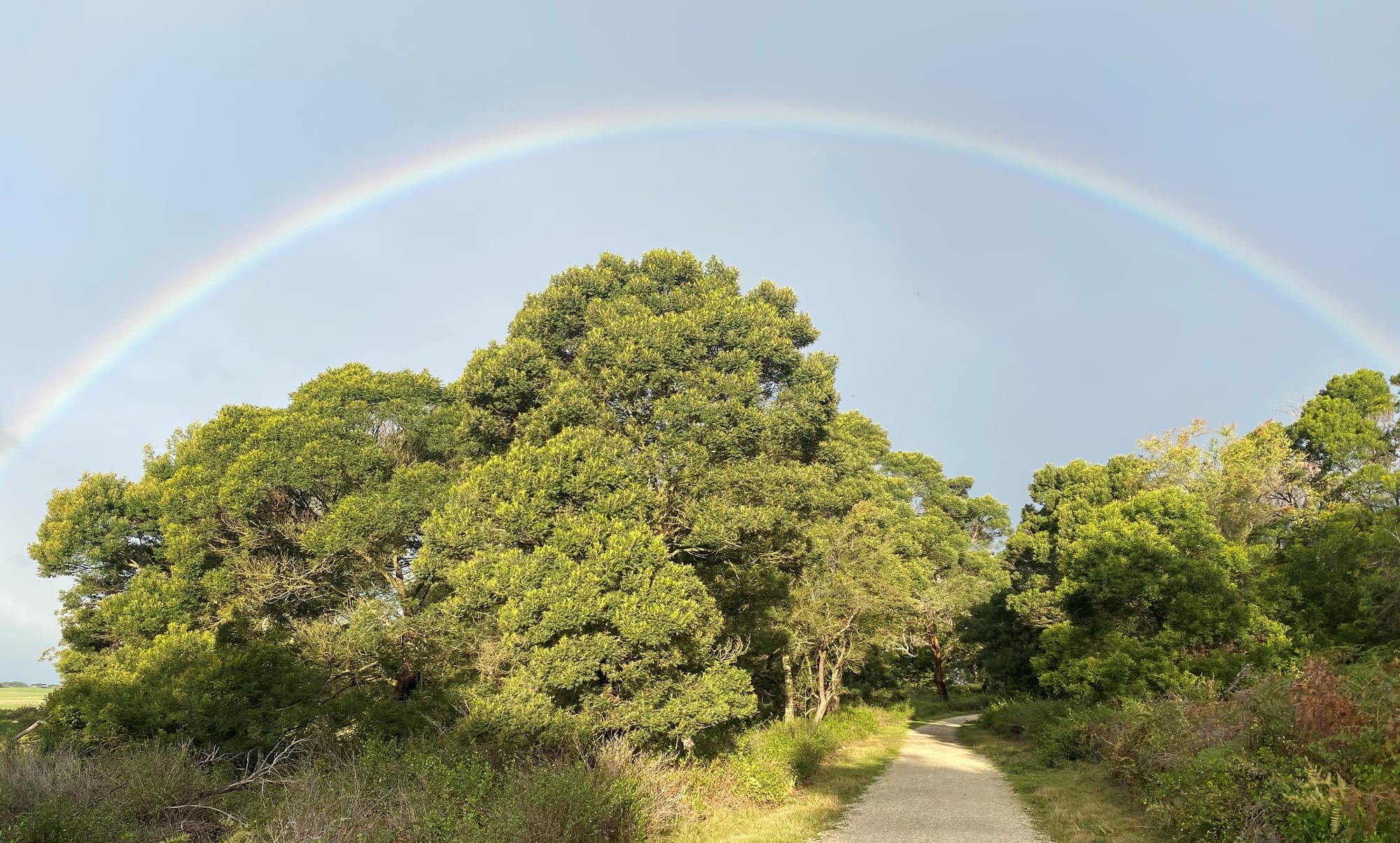 Our winter was warmer, sunnier than usual