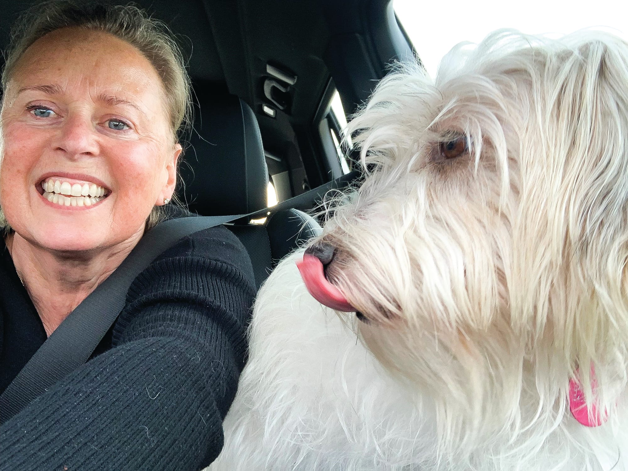 Little Pip’s big adventure