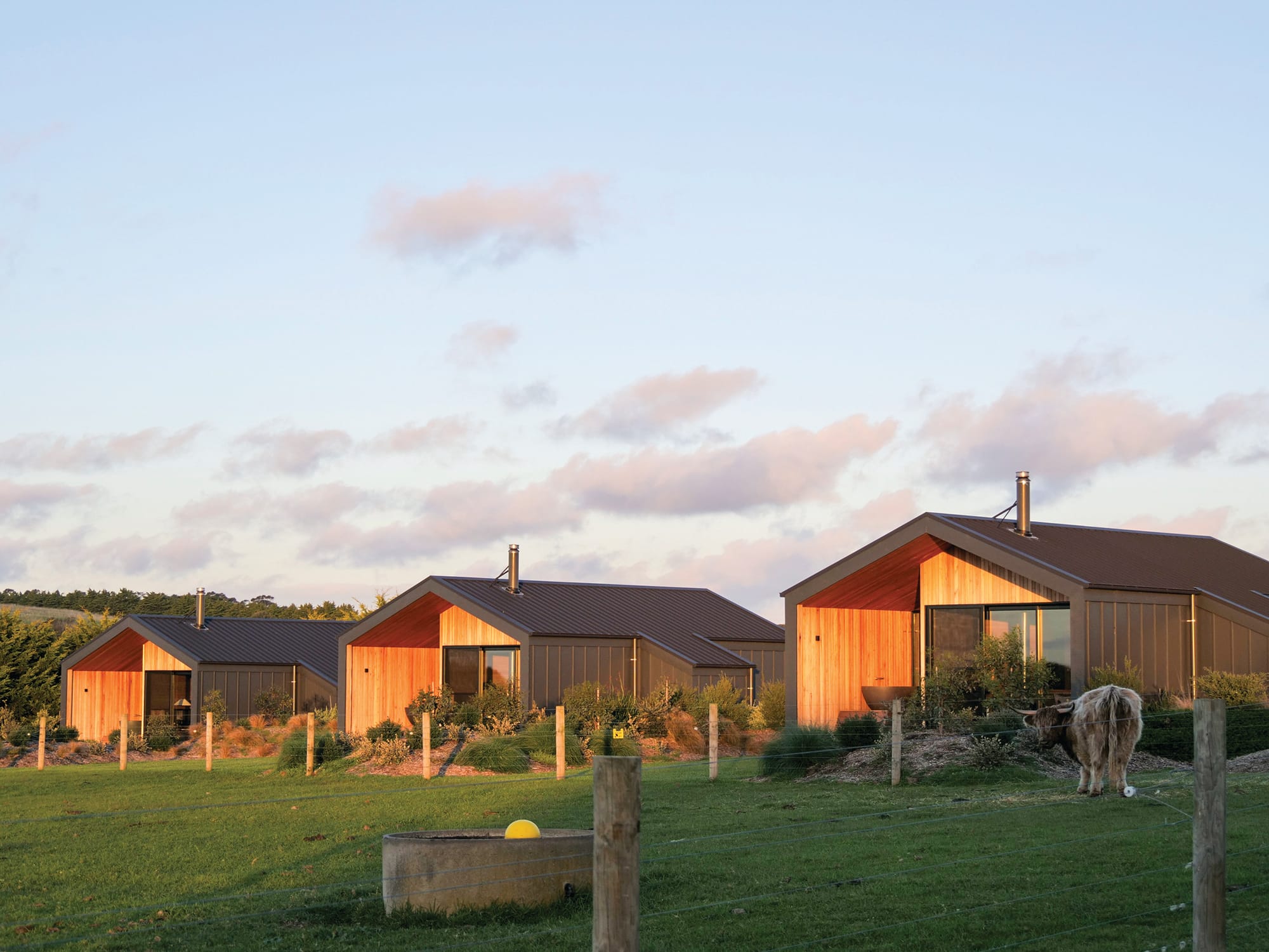 Ventnor neighbour loses VCAT objection