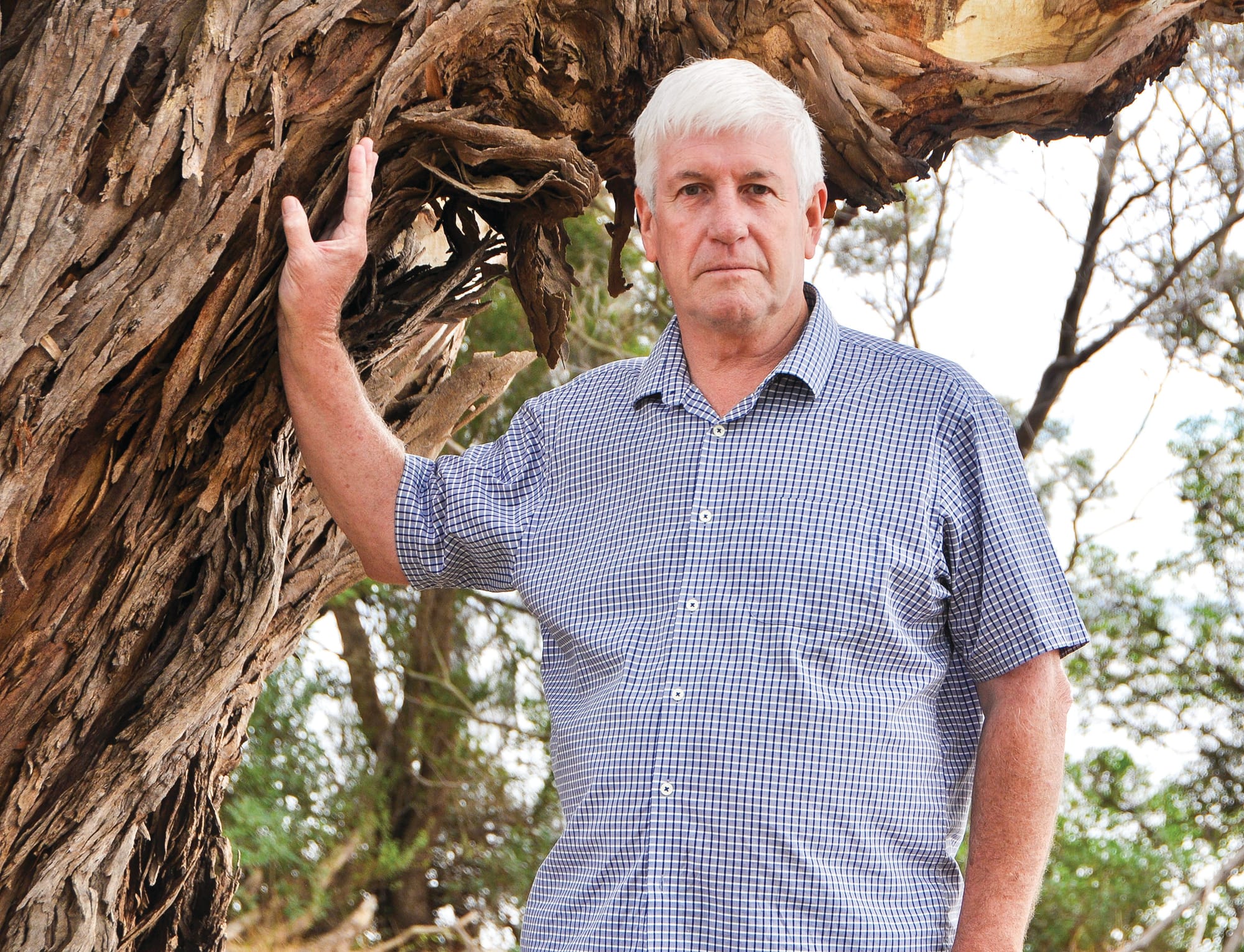 Government warned against blanket ok to car ferry economics