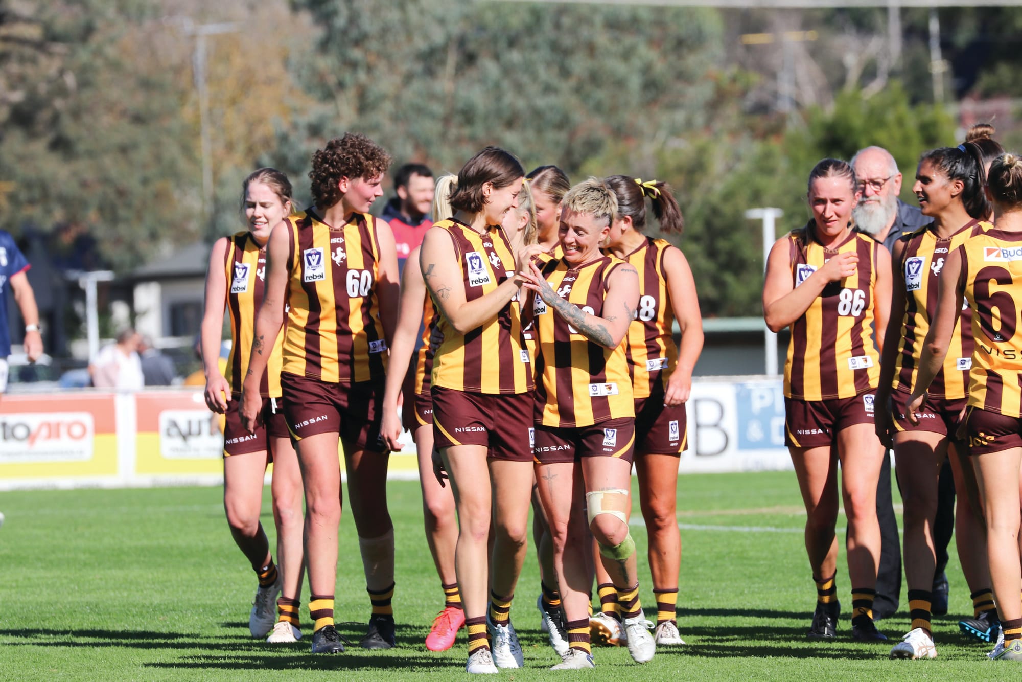 Hawks and Demons come to town