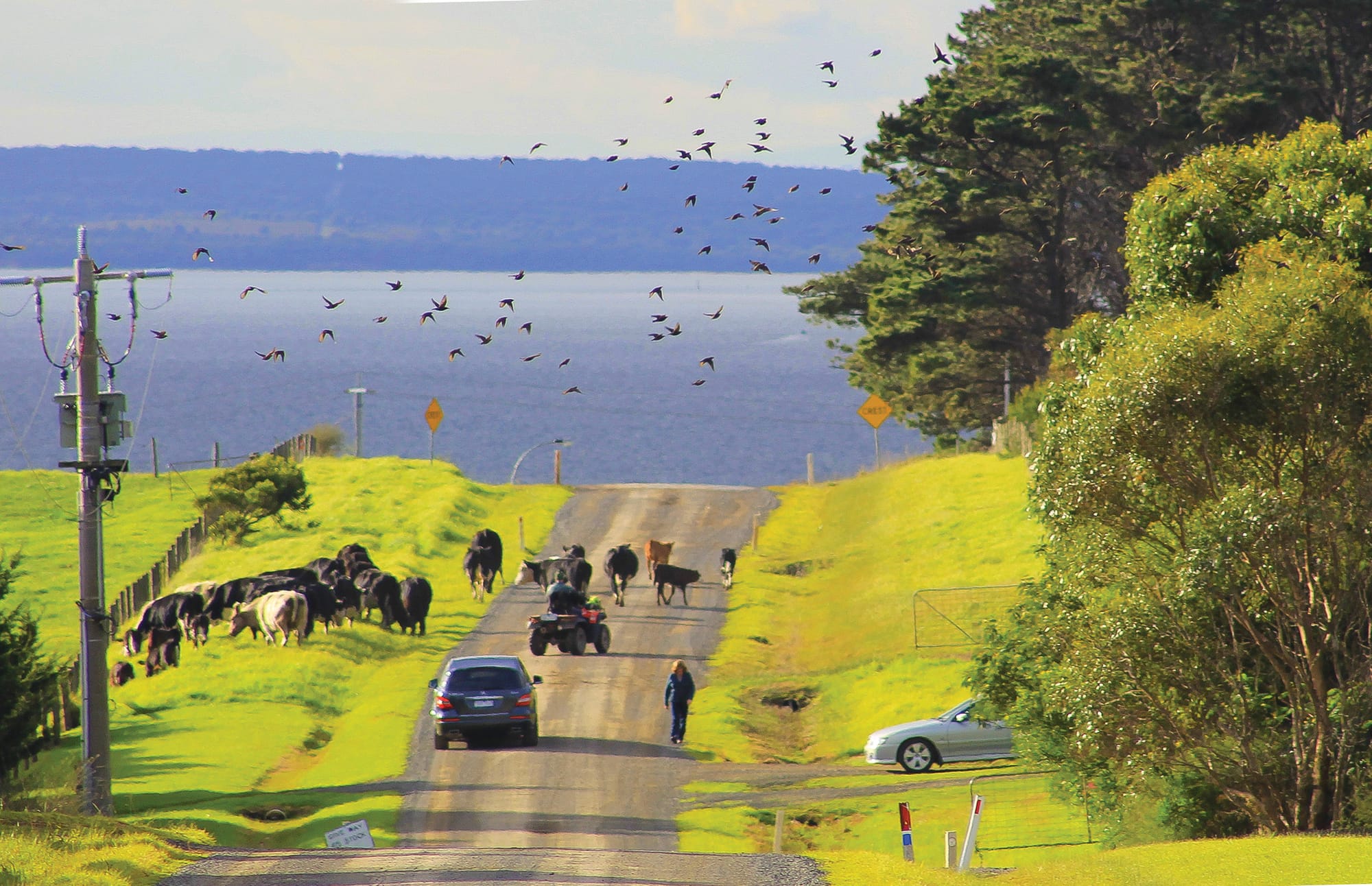 Rural tourism consultation extended