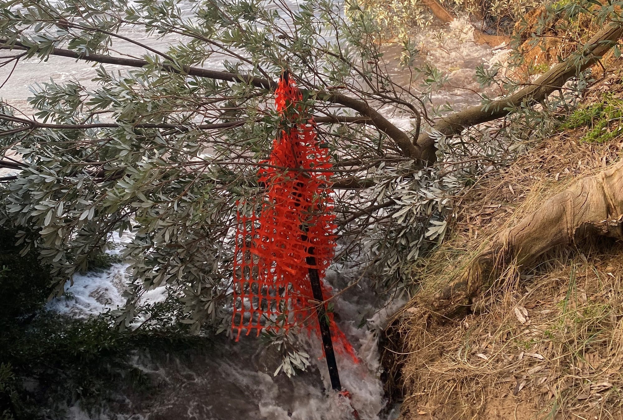 Caught between a rock and a hard place at Silverleaves