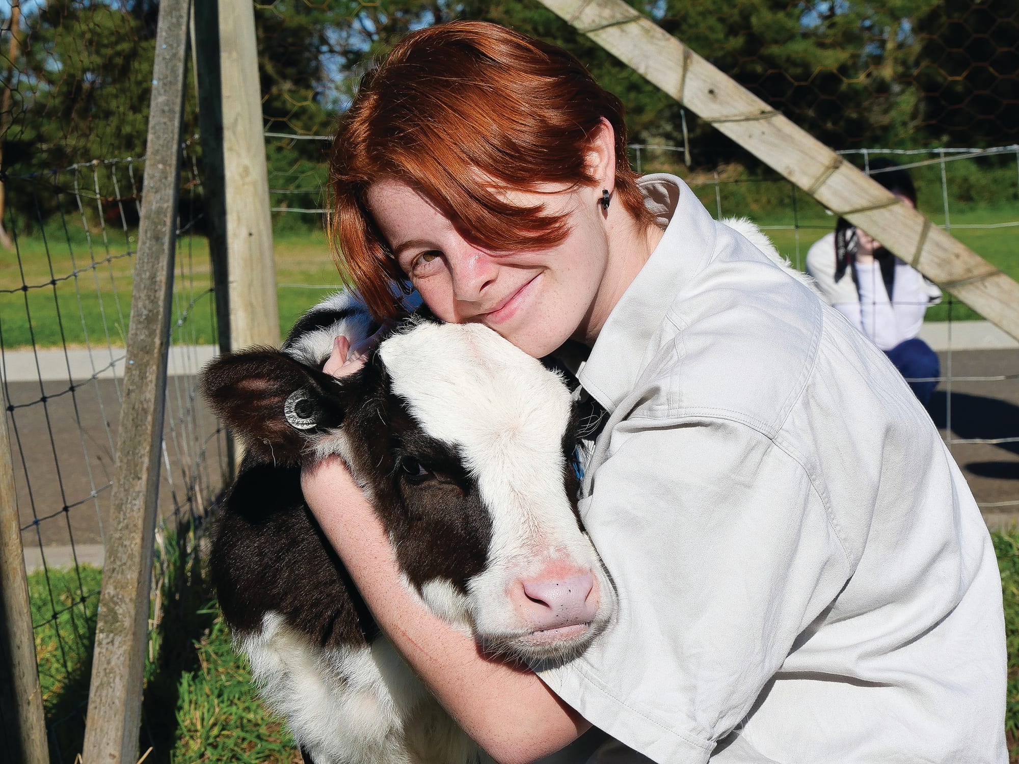 Cows creates careers