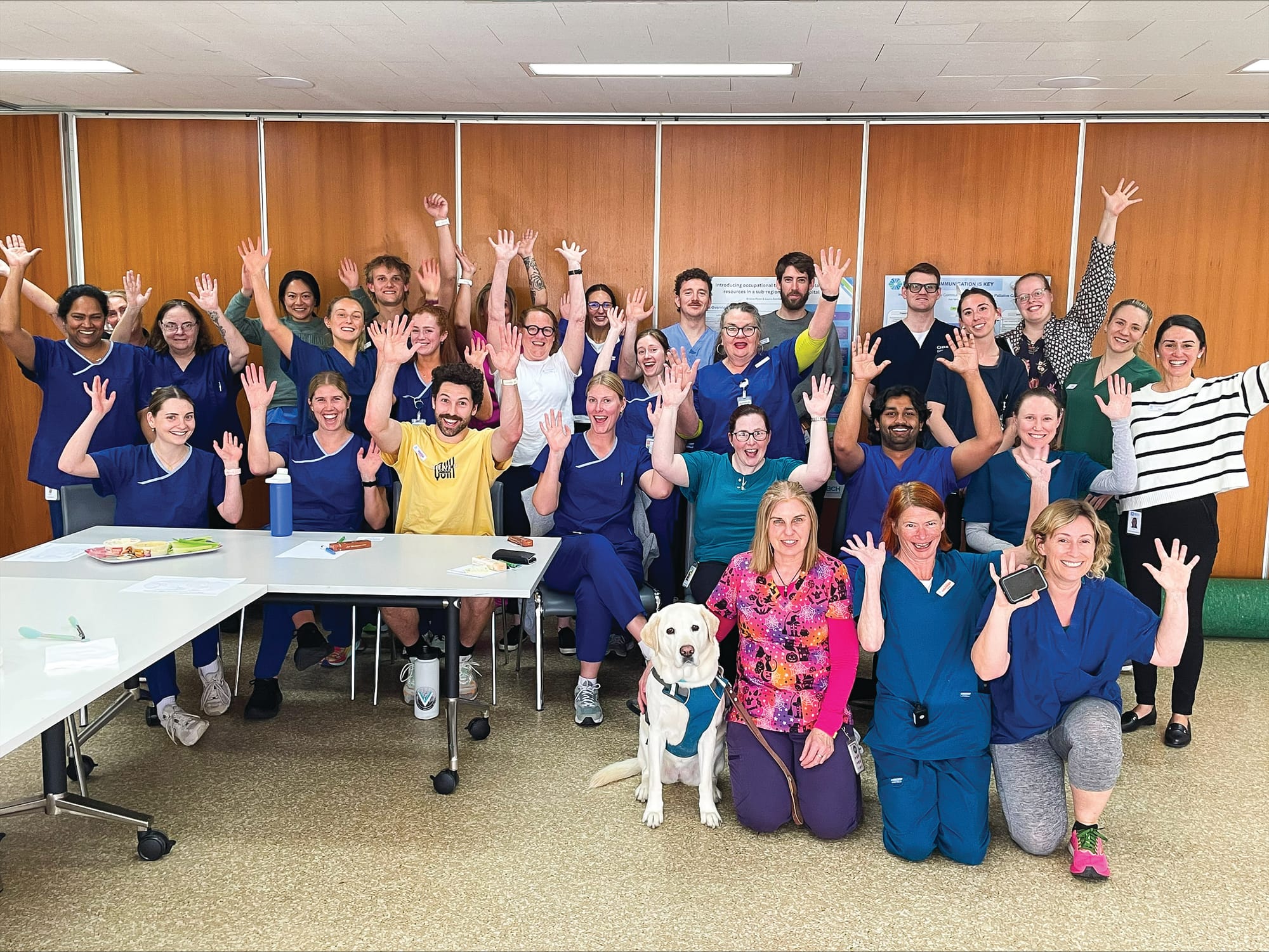 Spotlight on Allied Health professionals