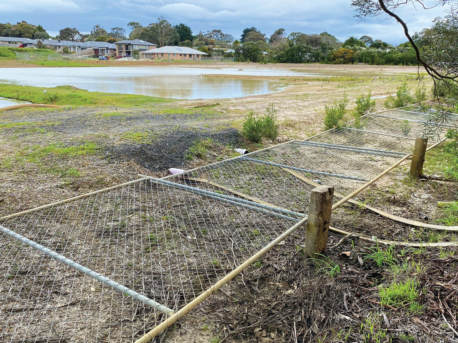 Wetland still a pipe dream