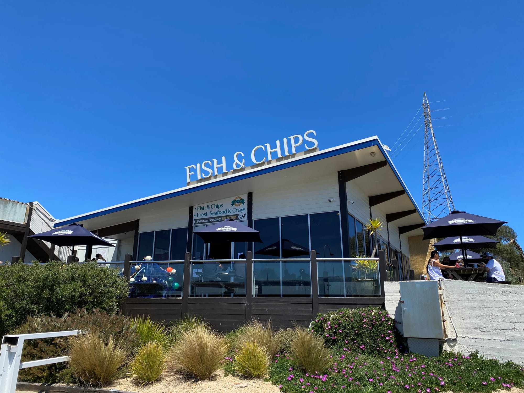 Welcome back Melbourne