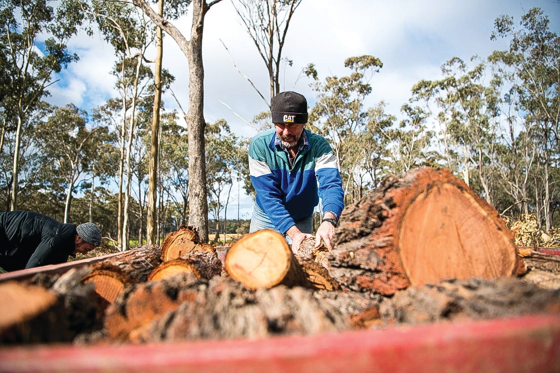 Spring firewood collection season open