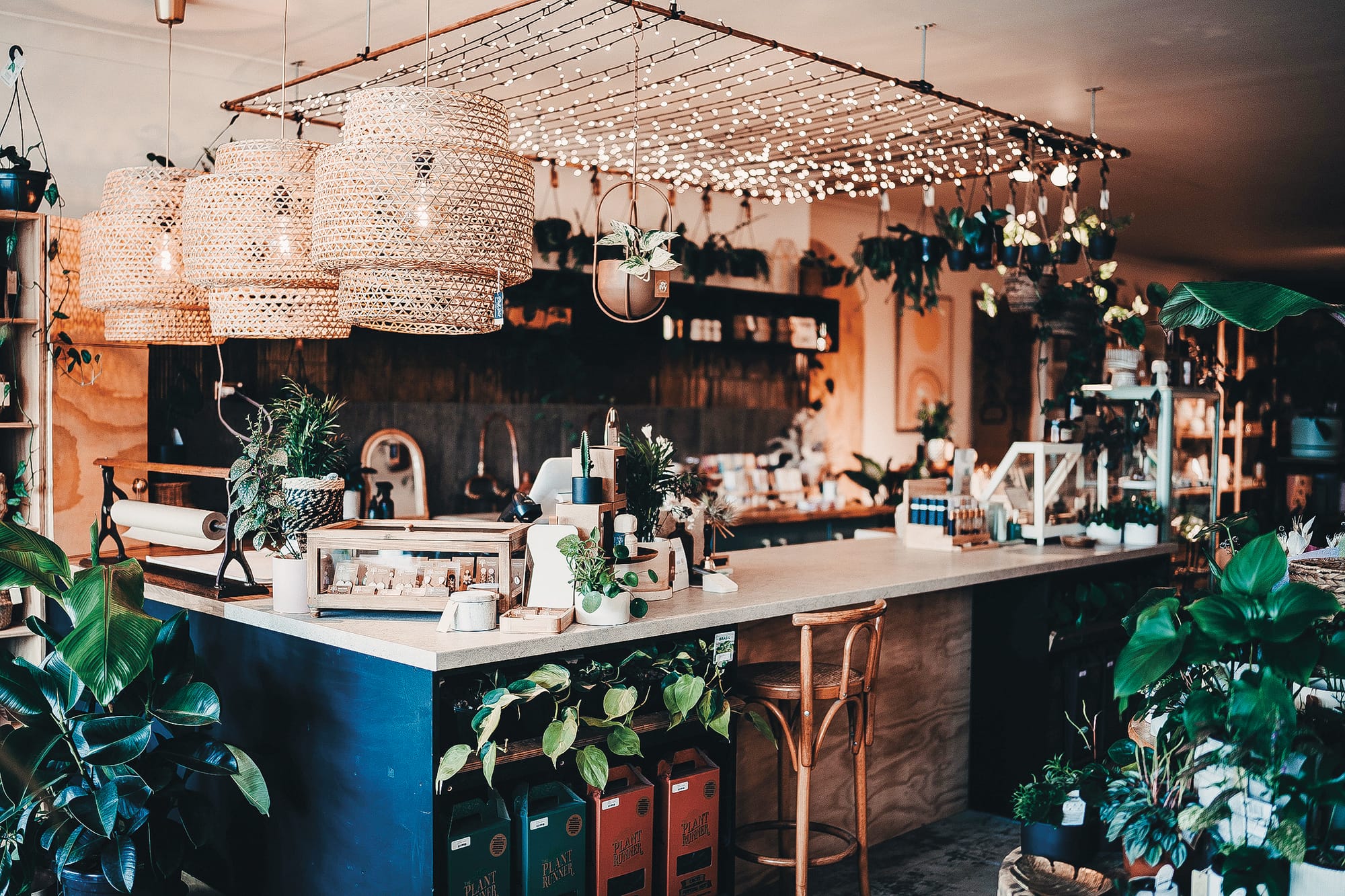 Newhaven plant shop helped to grow