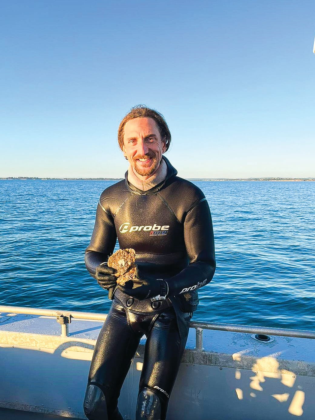 Oysters could return, to help the bay