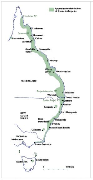 Ticks leave locals scratching their heads